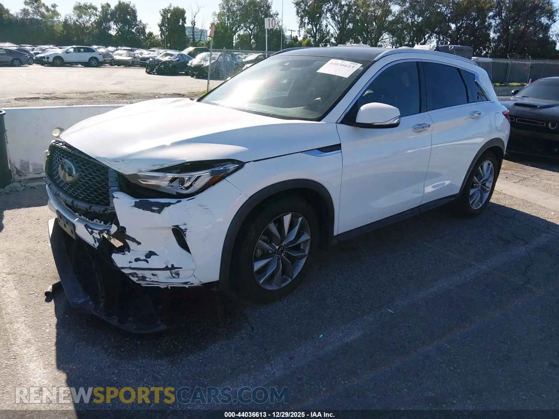 2 Photograph of a damaged car 3PCAJ5BA0MF103673 INFINITI QX50 2021