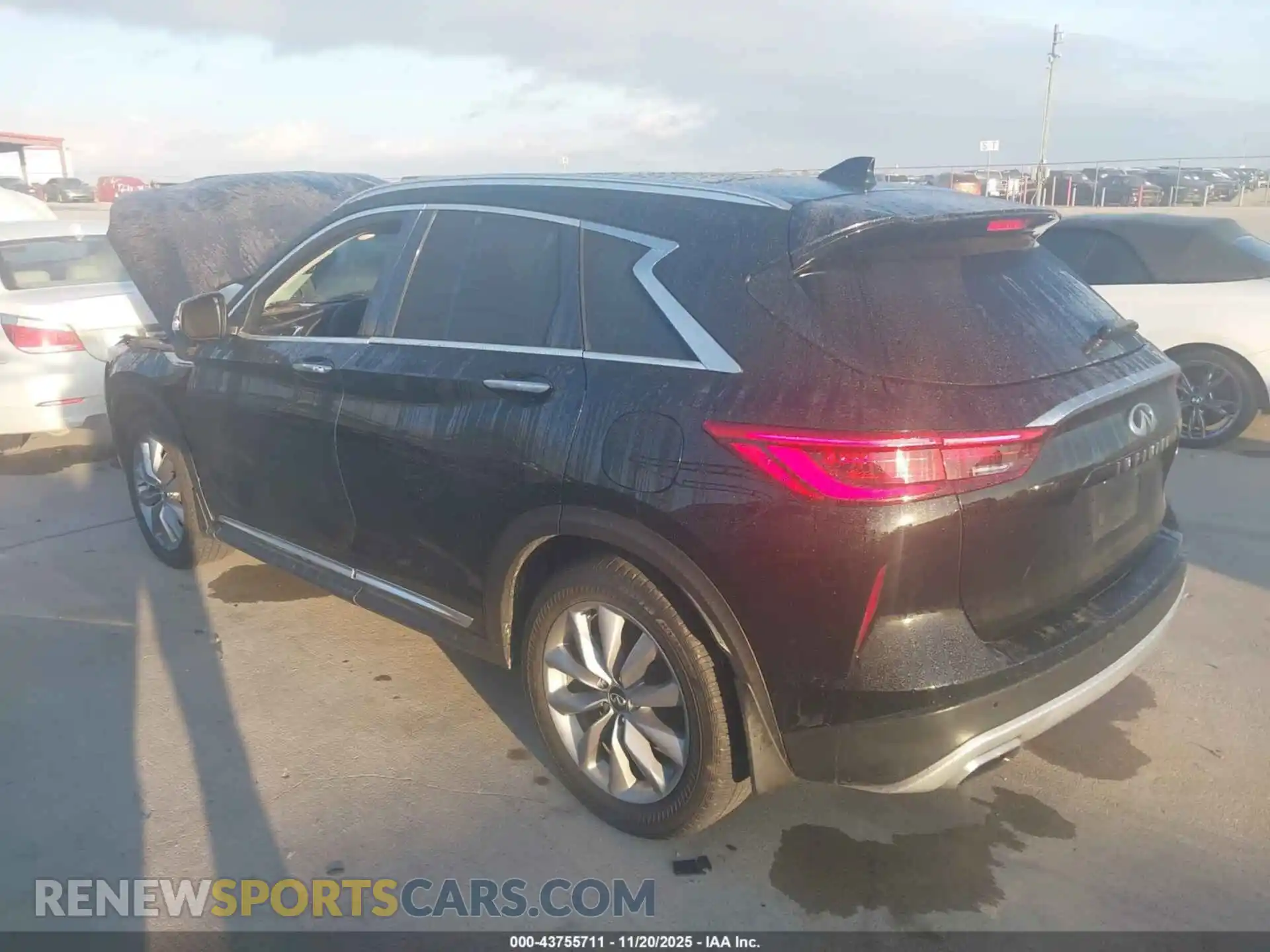3 Photograph of a damaged car 3PCAJ5BA0MF125401 INFINITI QX50 2021
