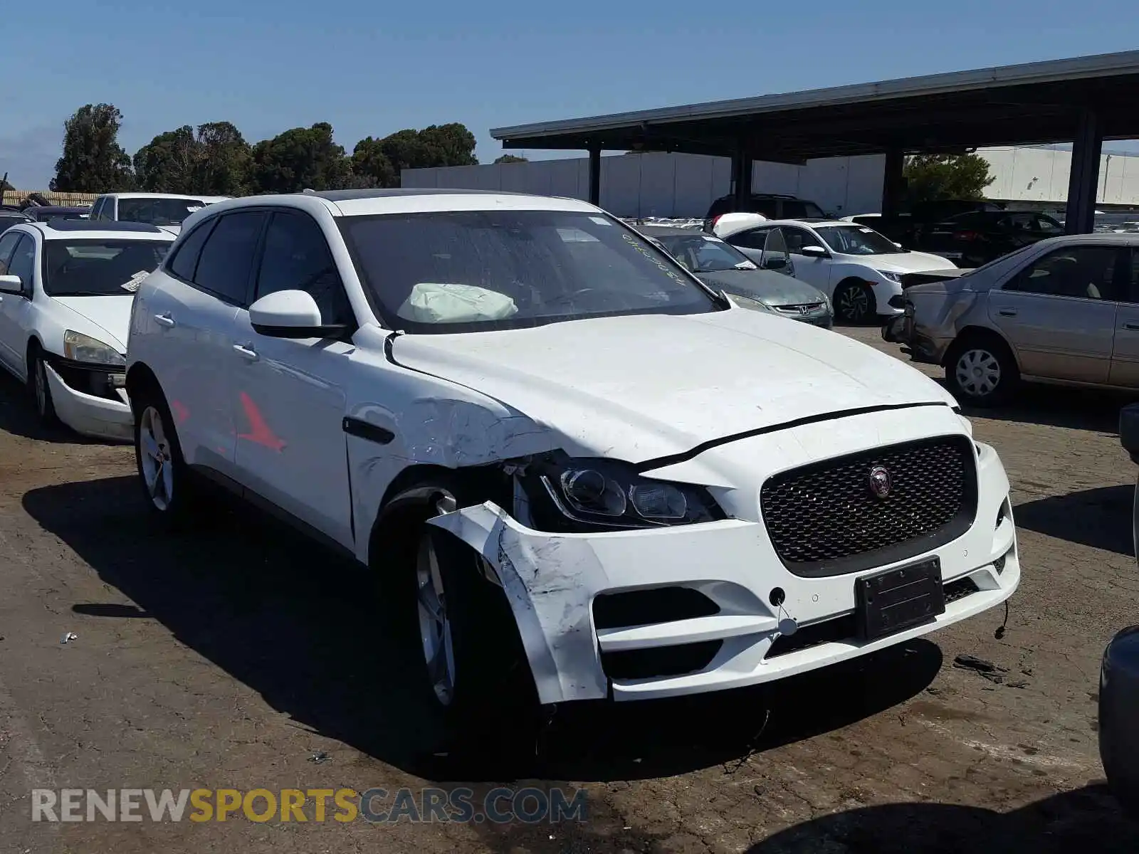 1 Photograph of a damaged car SADCJ2FX3KA601818 JAGUAR F-PACE 2019