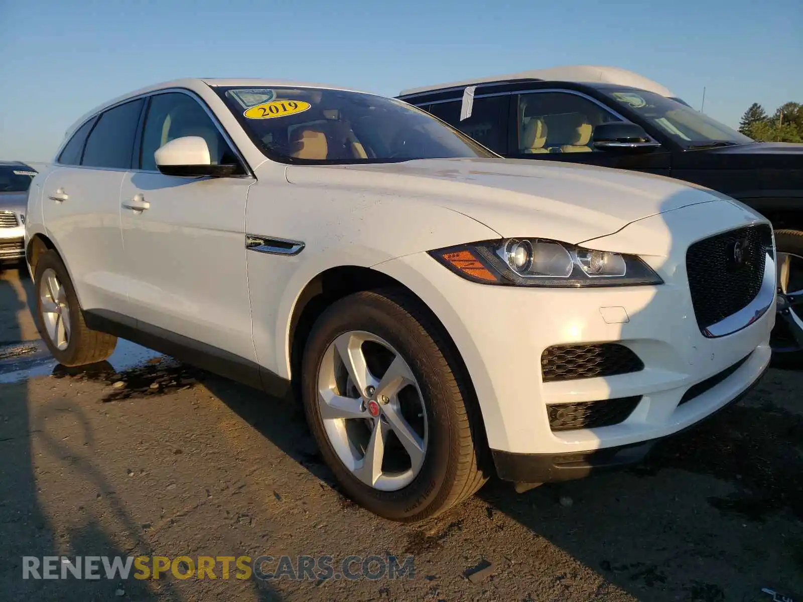 1 fotografías del automóvil dañado SADCJ2FX4KA357645 JAGUAR F-PACE 2019