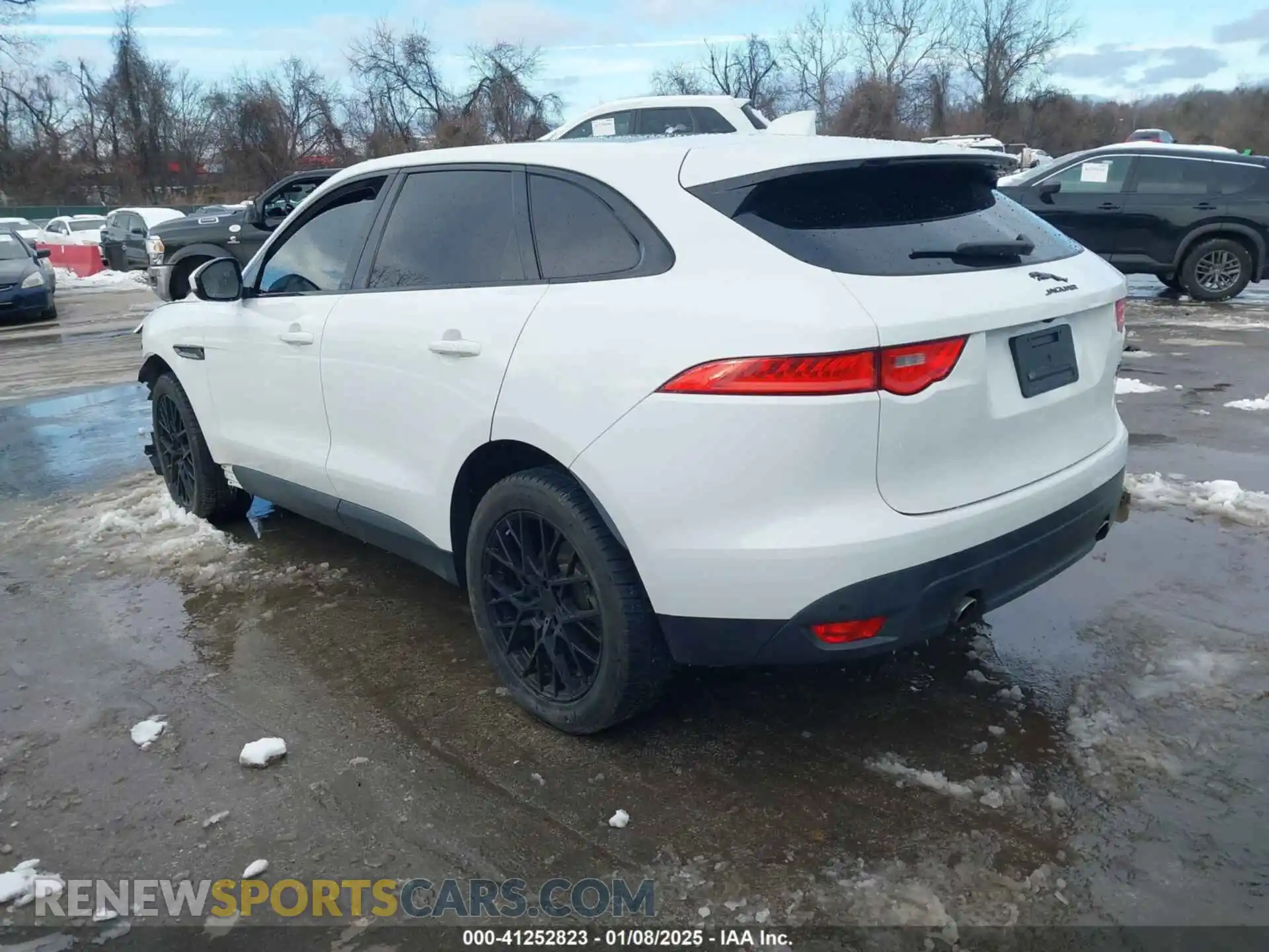 3 Photograph of a damaged car SADCK2FX2KA358483 JAGUAR F-PACE 2019