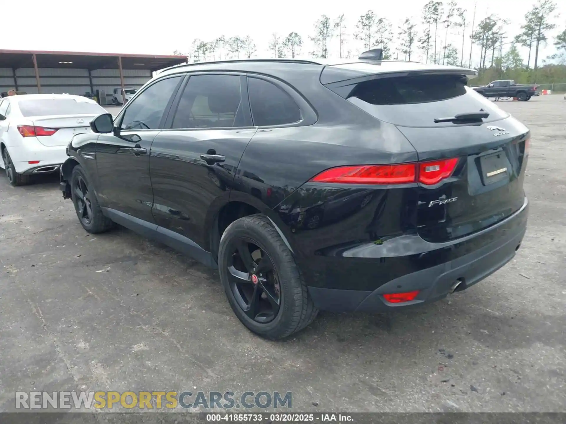 3 Photograph of a damaged car SADCK2FX7KA395593 JAGUAR F-PACE 2019