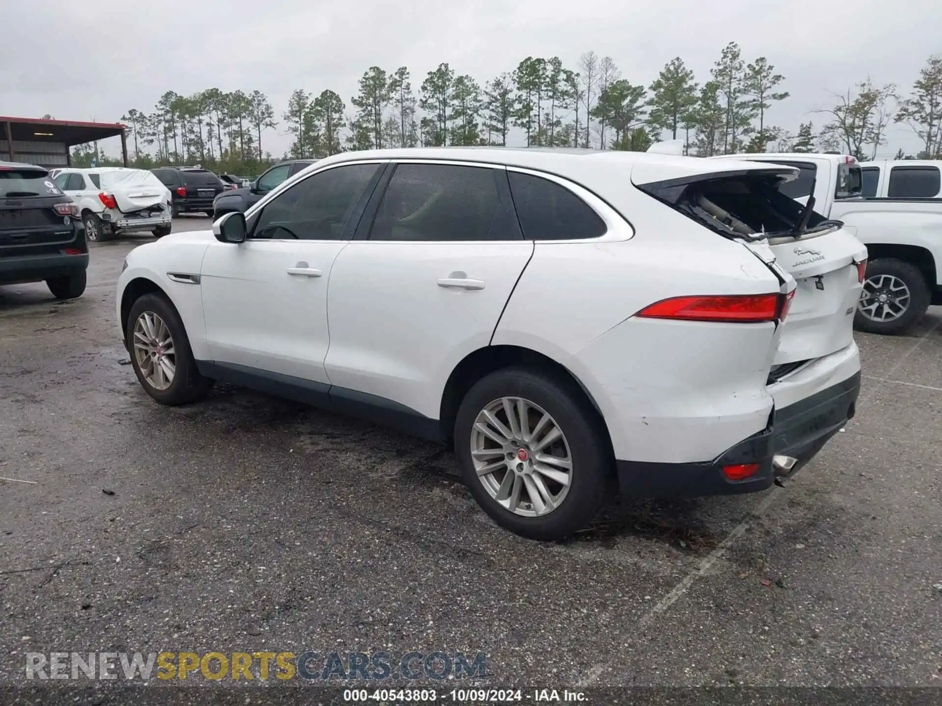 3 Photograph of a damaged car SADCK2GX6KA390884 JAGUAR F-PACE 2019