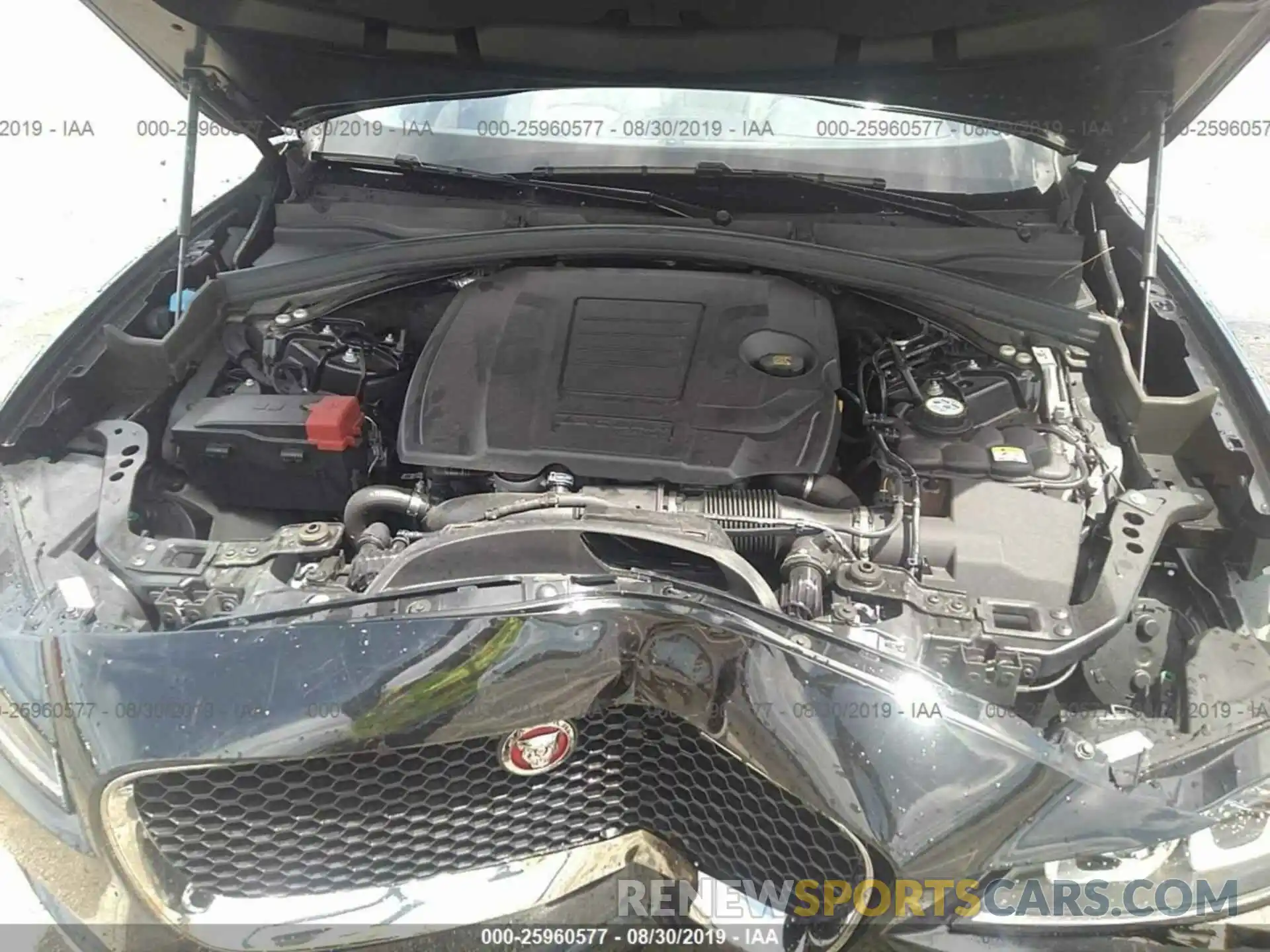 10 Photograph of a damaged car SADCK2GX6KA393073 JAGUAR F-PACE 2019