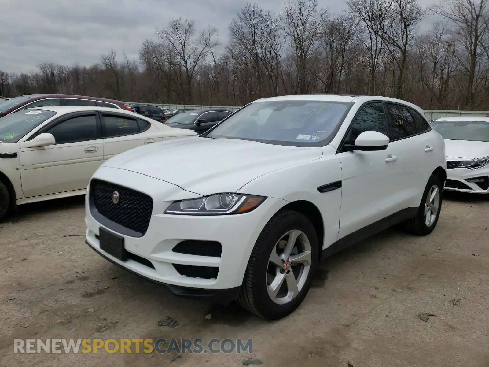 2 Photograph of a damaged car SADCJ2FX1LA645348 JAGUAR F-PACE 2020