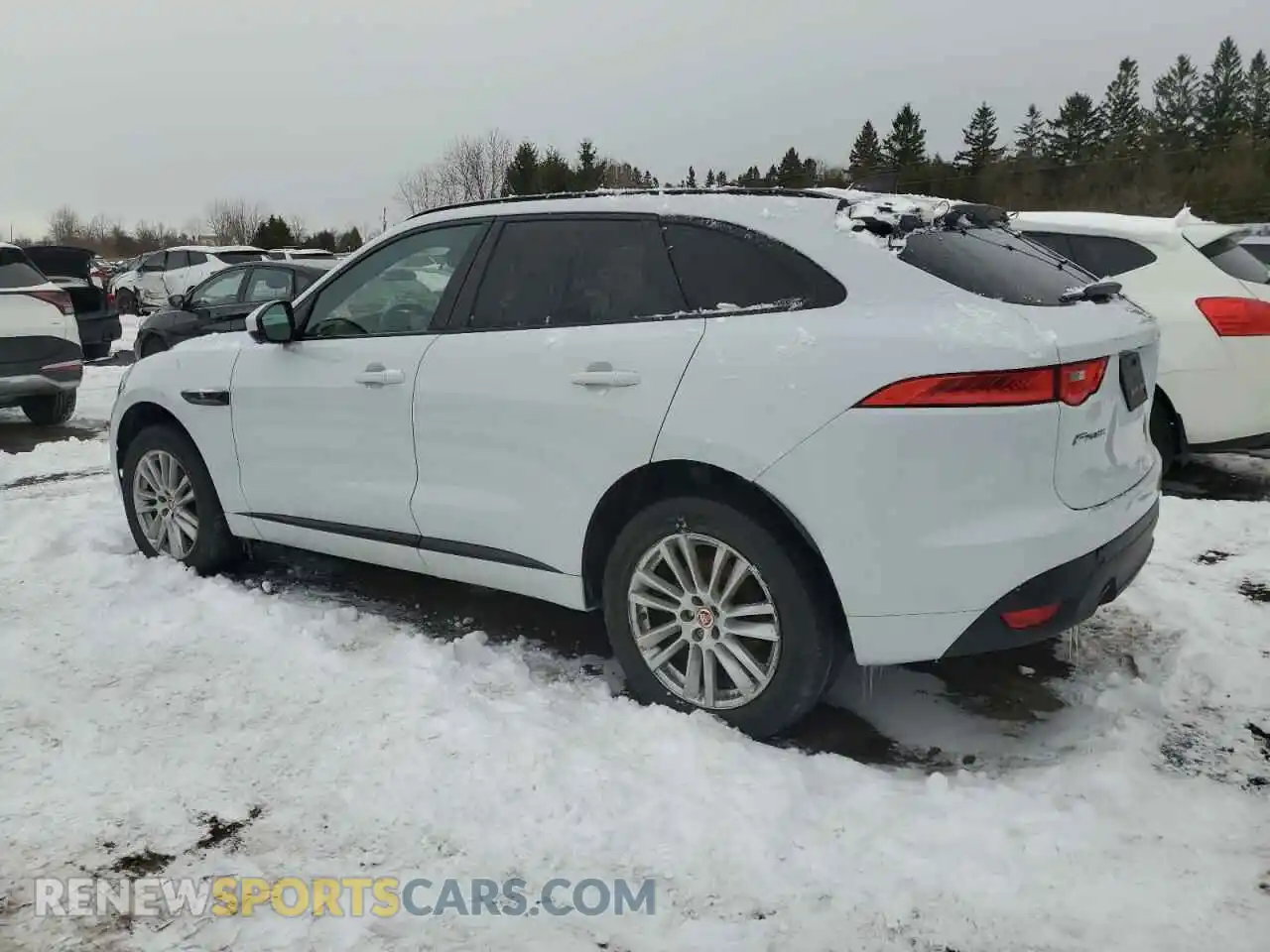 2 Photograph of a damaged car SADCP2FX6LA662984 JAGUAR F-PACE 2020