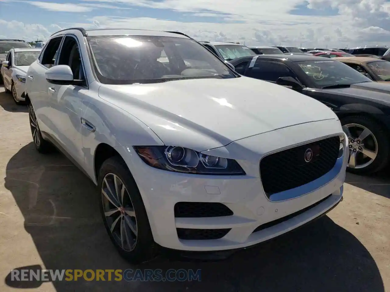 SADCK2FX2KA369063 JAGUAR F-PACE 2019