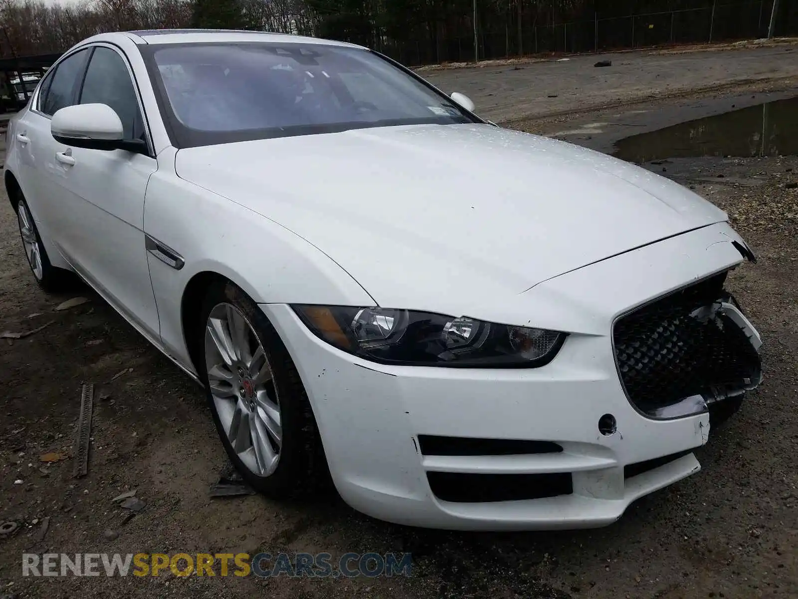 1 Photograph of a damaged car SAJAS4FX7KCP52677 JAGUAR XE 2019