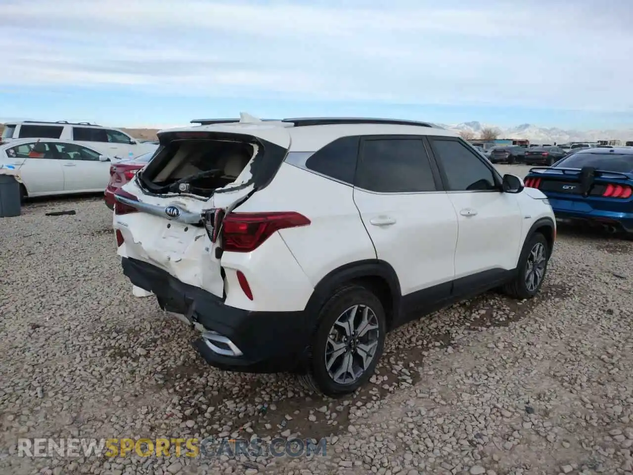 3 Photograph of a damaged car KNDERCAA4M7166135 KIA SELTOS 2021