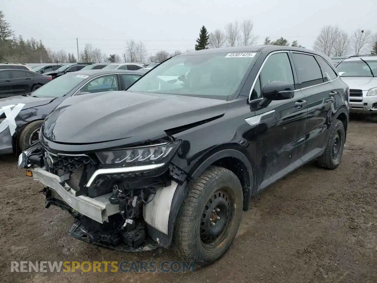 1 Photograph of a damaged car 5XYRGDLC4MG003435 KIA SORENTO 2021