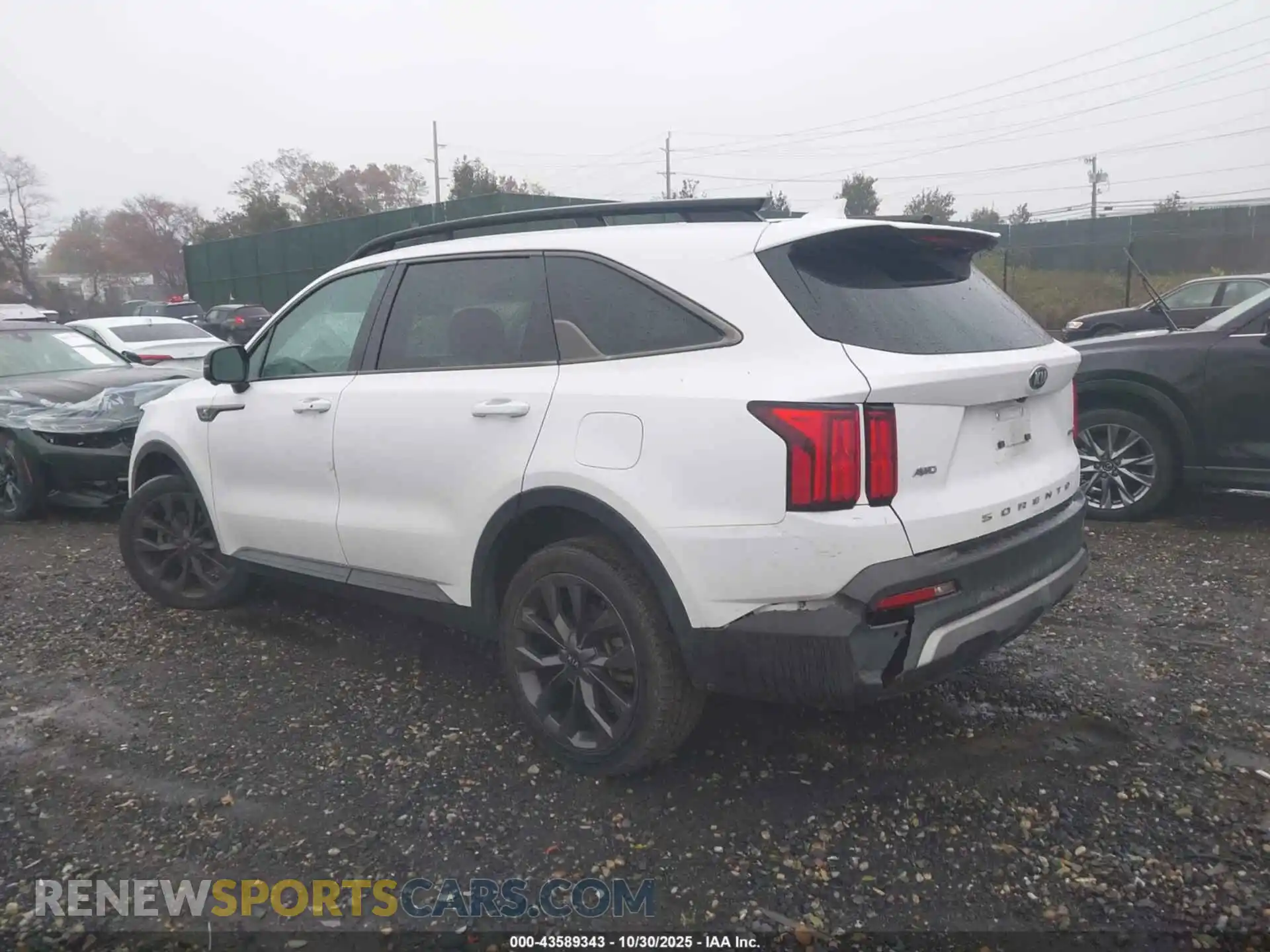 3 Photograph of a damaged car 5XYRKDLF0MG018183 KIA SORENTO 2021