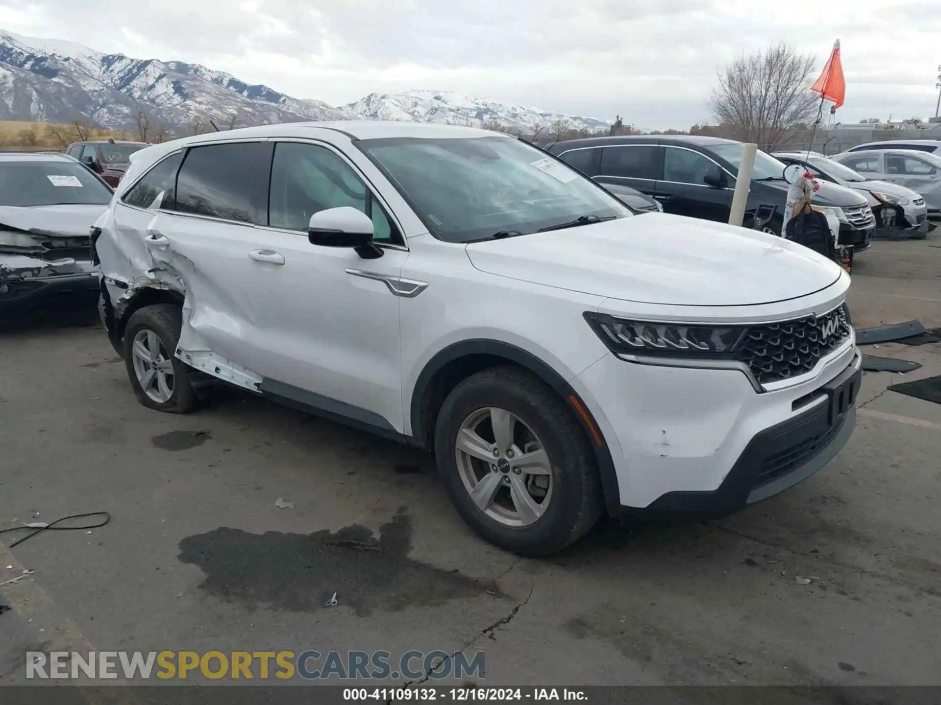1 Photograph of a damaged car 5XYRGDLC8NG072405 KIA SORENTO 2022
