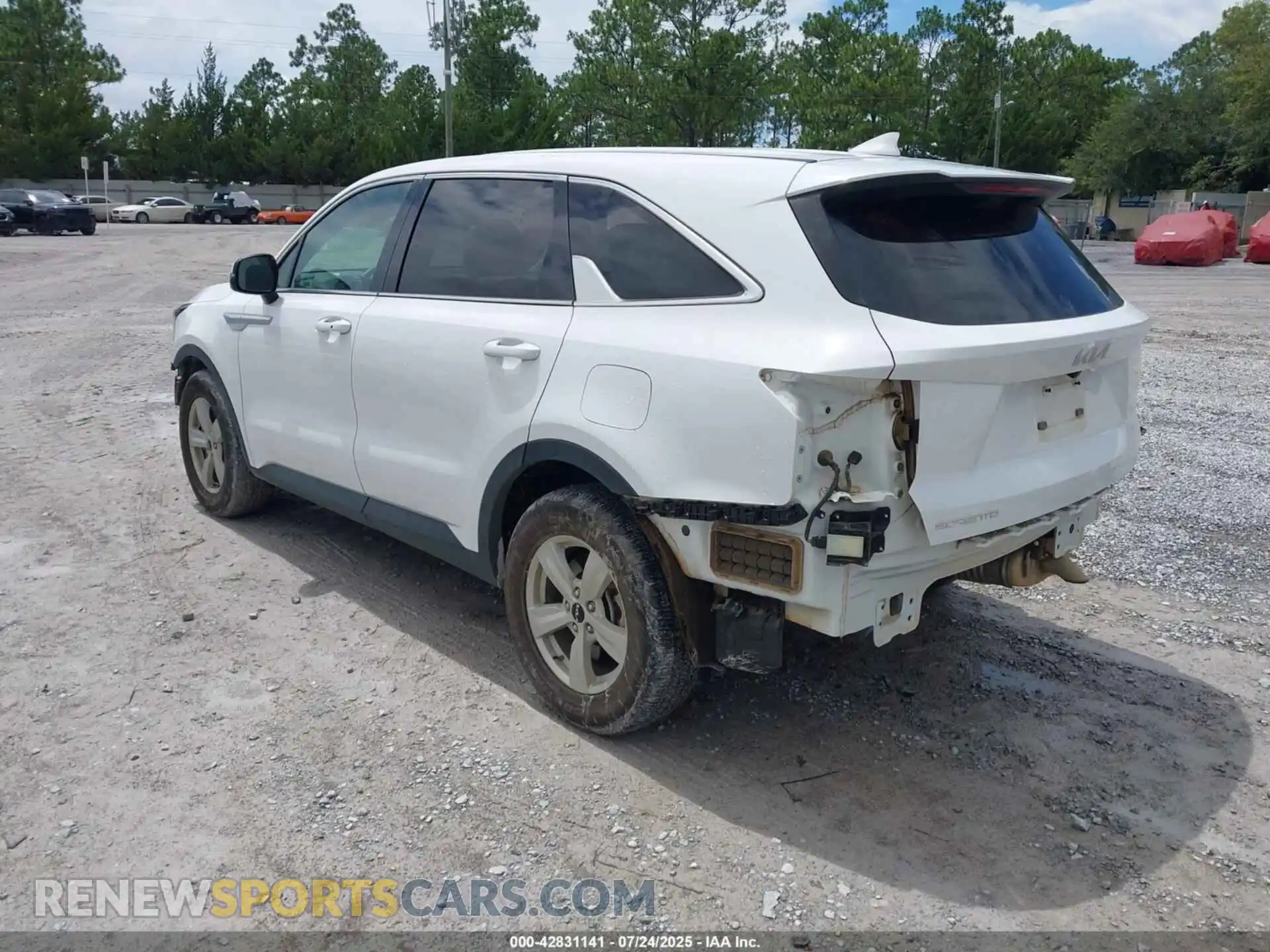 3 Photograph of a damaged car 5XYRG4JC1RG274060 KIA SORENTO 2024