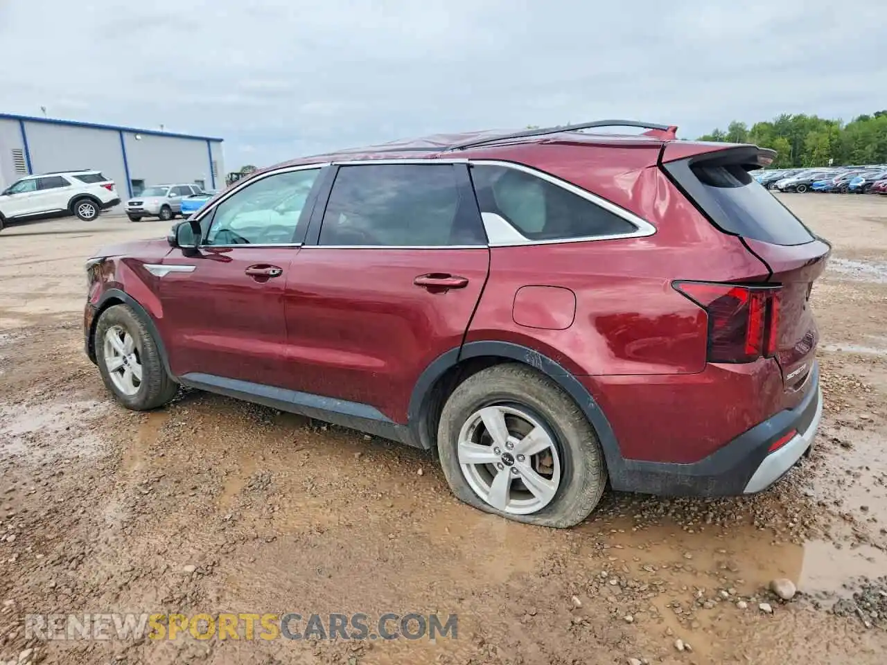 2 Photograph of a damaged car 5XYRG4JC6RG305030 KIA SORENTO 2024