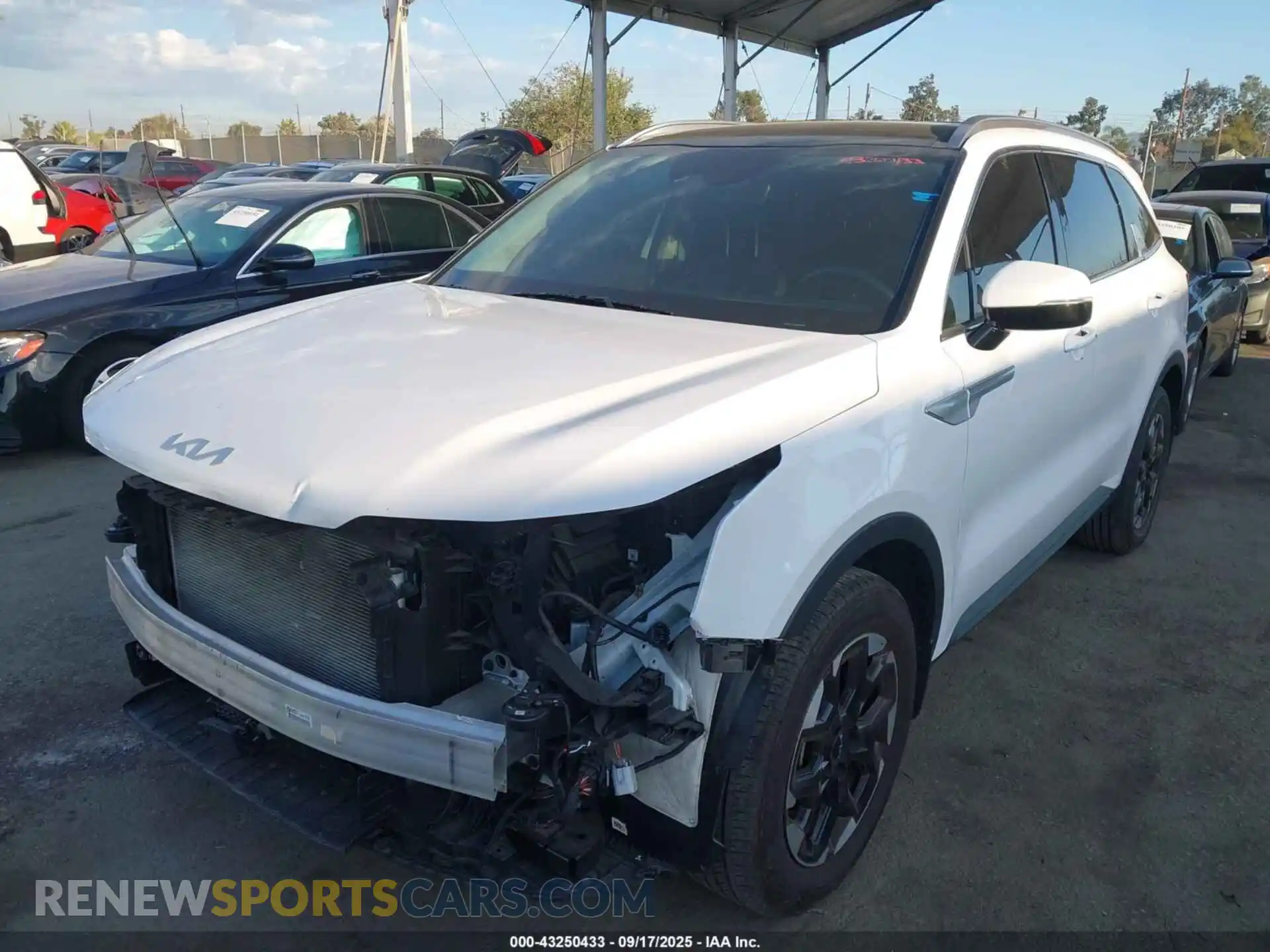 2 Photograph of a damaged car 5XYRL4JC3RG280695 KIA SORENTO 2024