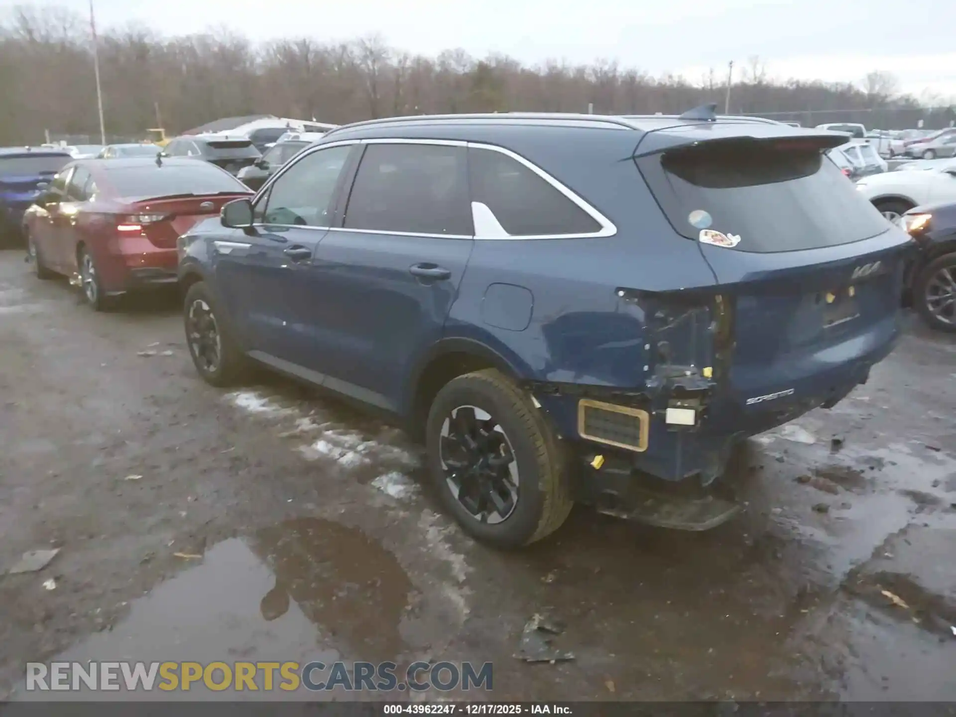 3 Photograph of a damaged car 5XYRL4JC6RG281615 KIA SORENTO 2024