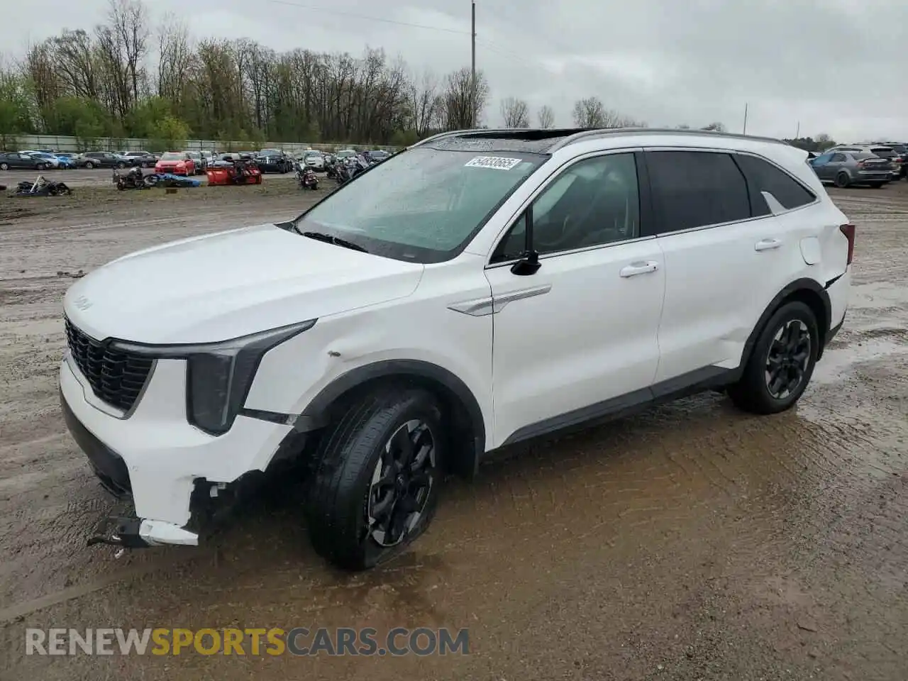 1 Photograph of a damaged car 5XYRL4JC6RG288094 KIA SORENTO 2024
