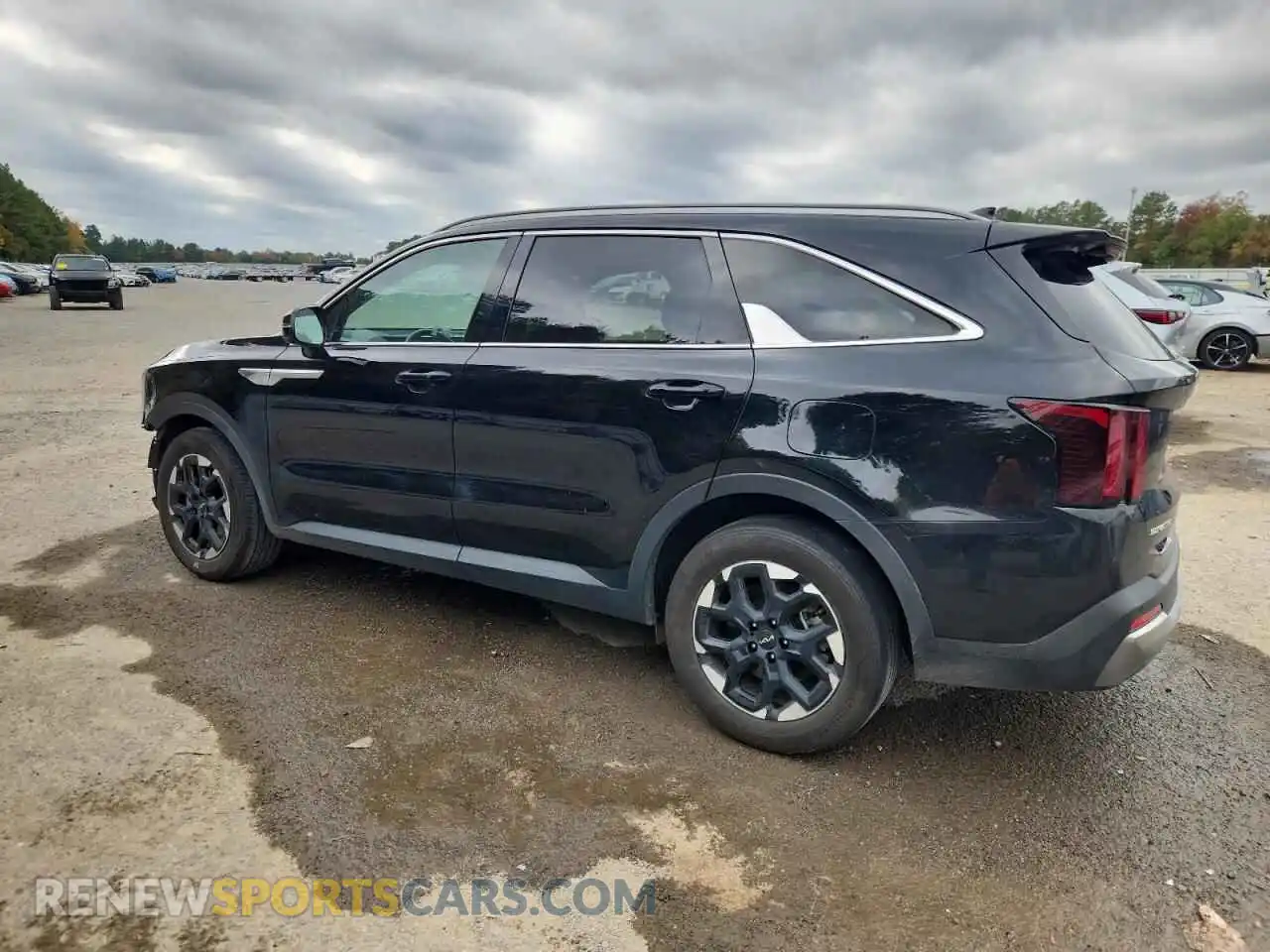 2 Photograph of a damaged car 5XYRL4JCXRG303454 KIA SORENTO 2024