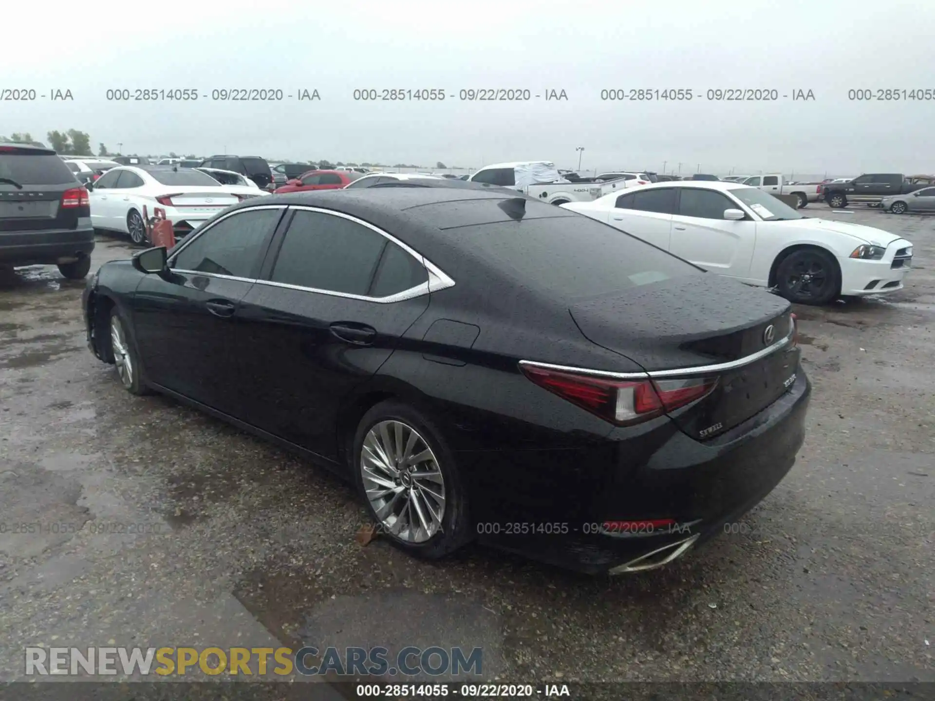 3 Photograph of a damaged car 58ABZ1B11KU025578 LEXUS ES 2019
