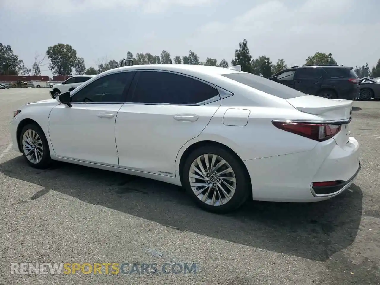 2 Photograph of a damaged car 58AEA1C18MU006497 LEXUS ES300 2021