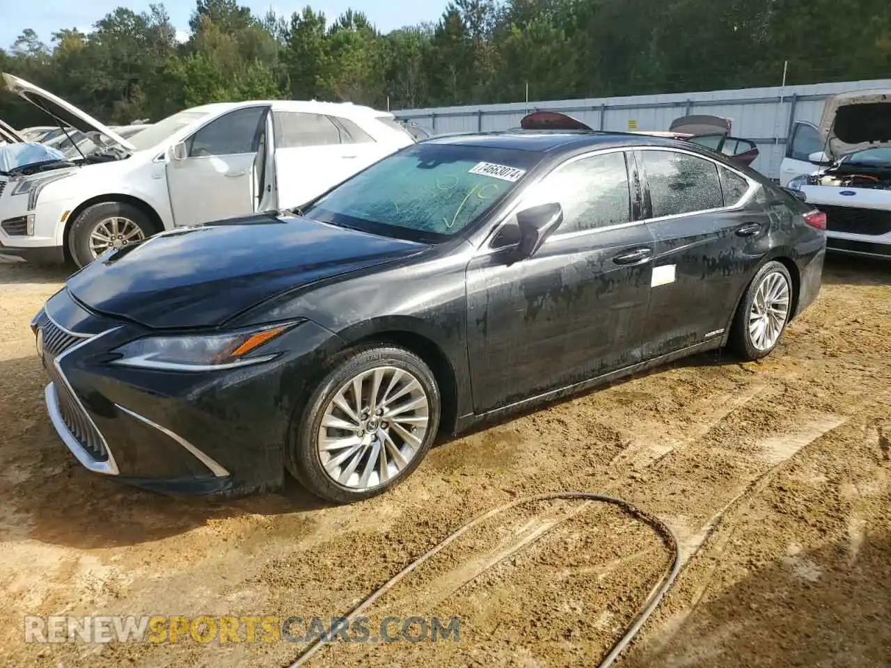 1 Photograph of a damaged car 58AFA1C10MU008796 LEXUS ES300 2021