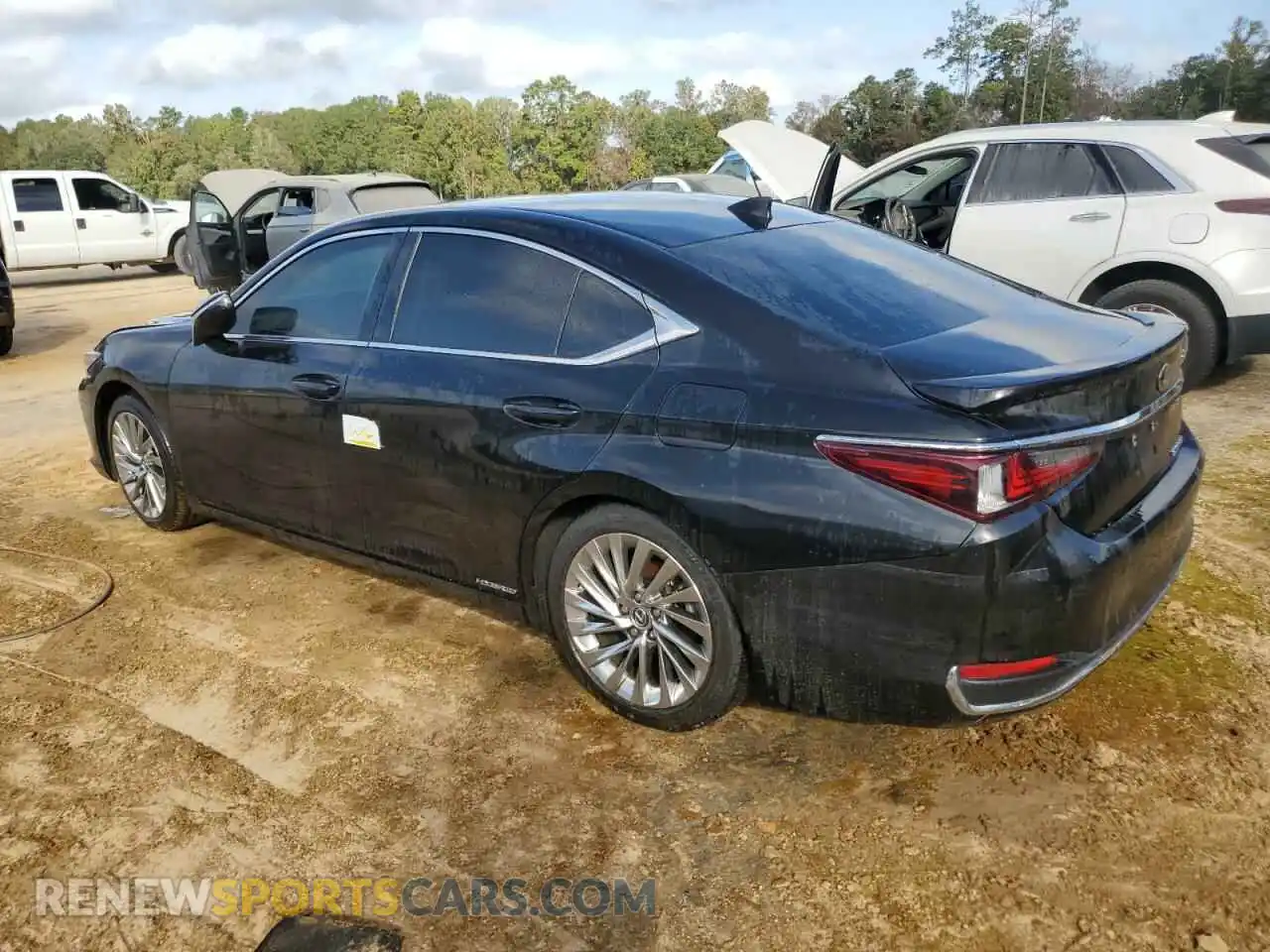 2 Photograph of a damaged car 58AFA1C10MU008796 LEXUS ES300 2021