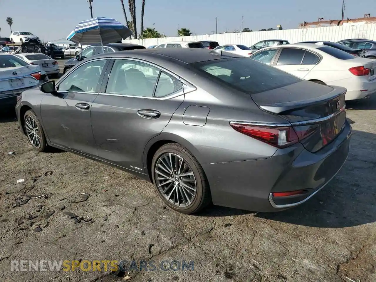 2 Photograph of a damaged car 58ADA1C13NU015833 LEXUS ES300 2022