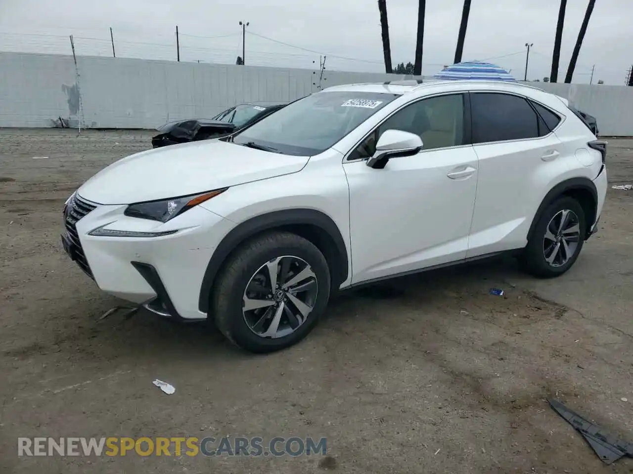 1 Фотография поврежденного автомобиля JTJYARBZ5K2138167 LEXUS NX 2019