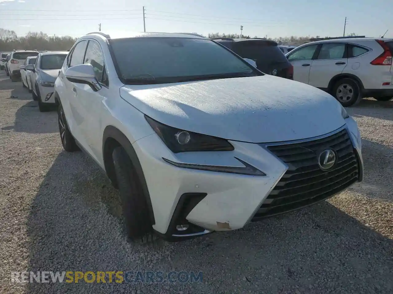1 Photograph of a damaged car JTJYARBZXK2154302 LEXUS NX 2019