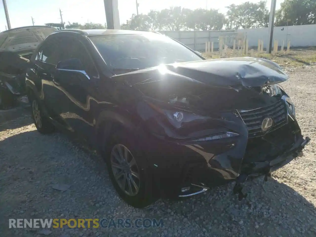 1 Photograph of a damaged car JTJDARBZ8L2173981 LEXUS NX 2020