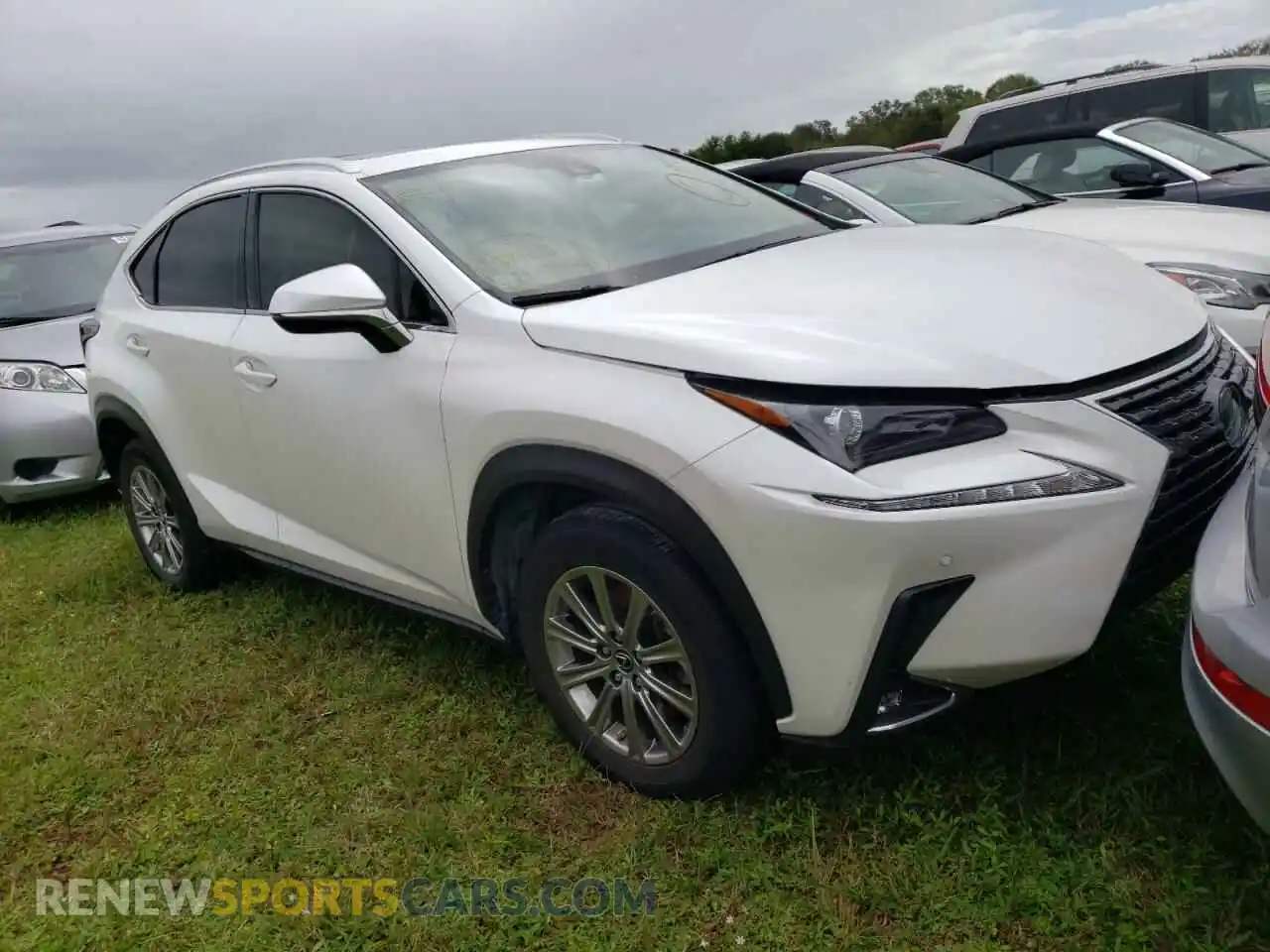1 fotografías del automóvil dañado JTJDARBZ8L5009256 LEXUS NX 2020