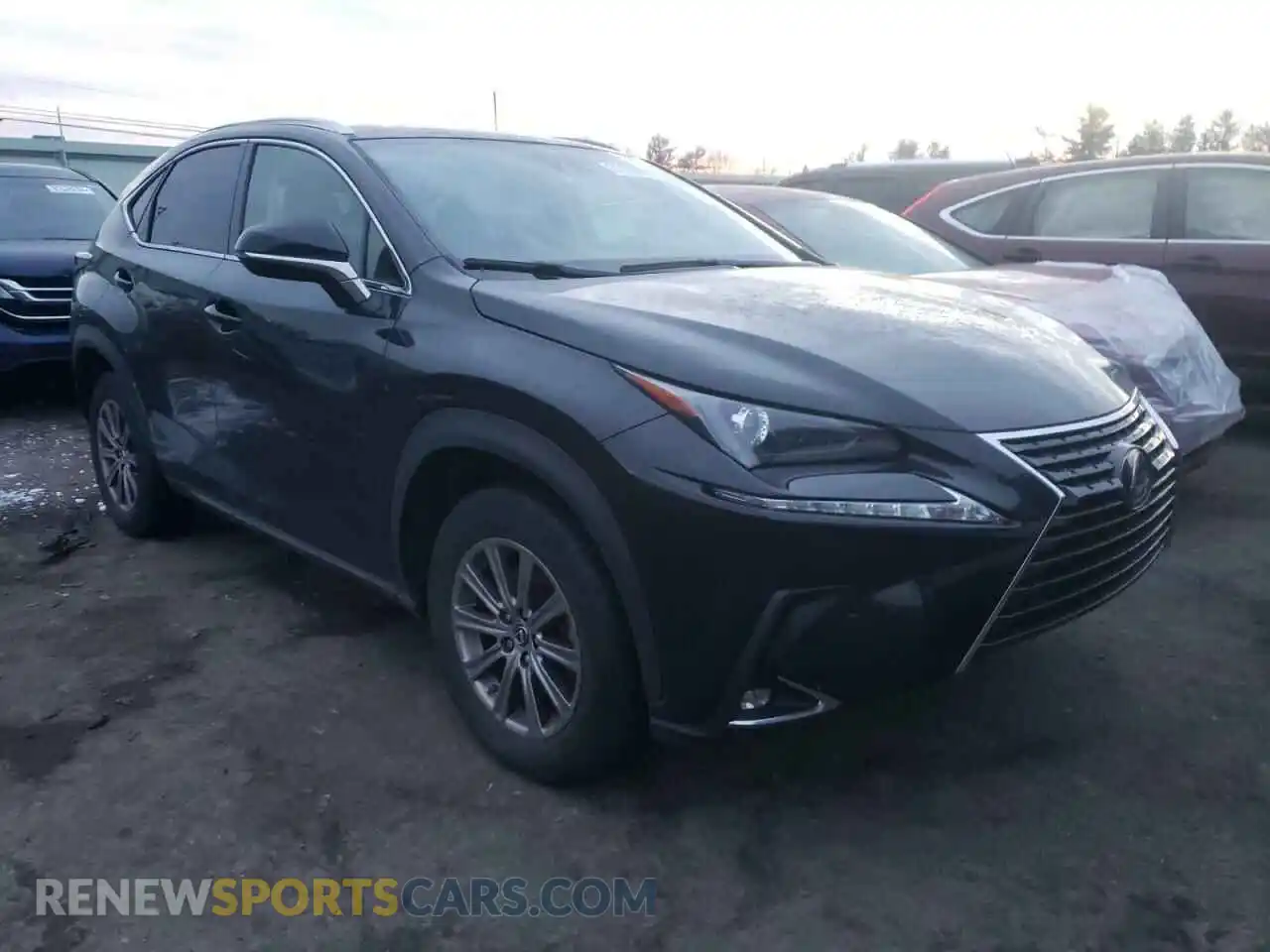 1 Photograph of a damaged car JTJDARDZ5L2222258 LEXUS NX 2020