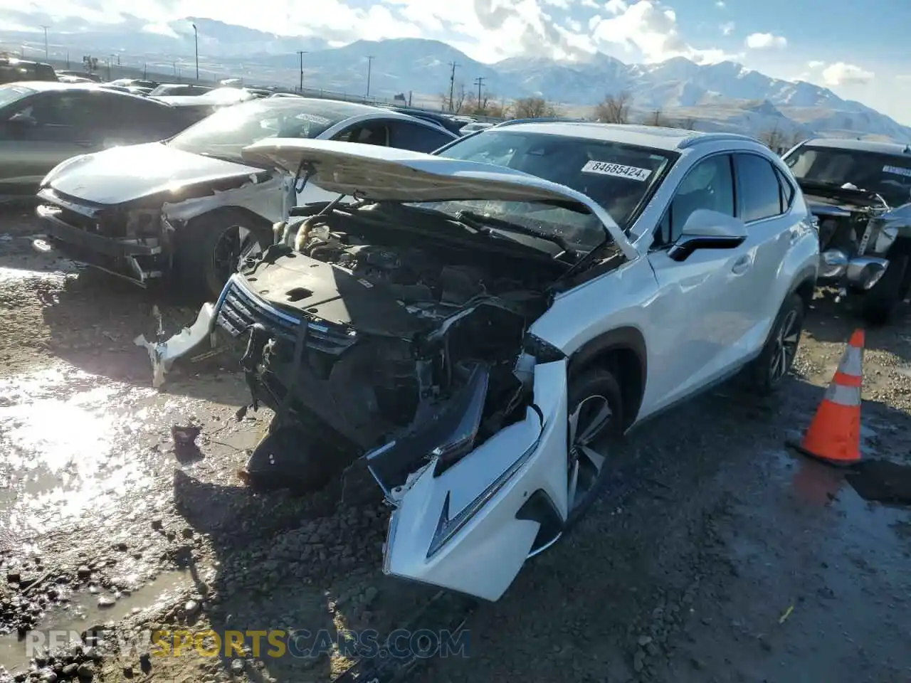 1 fotografías del automóvil dañado JTJGARDZ1L2234498 LEXUS NX 2020