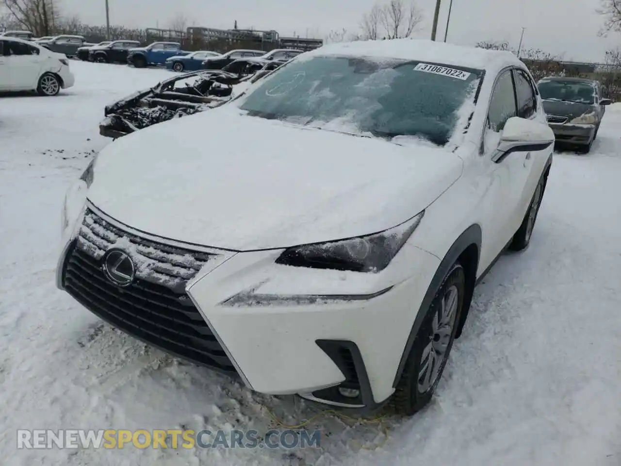 2 Photograph of a damaged car JTJGARDZ5L5016031 LEXUS NX 2020