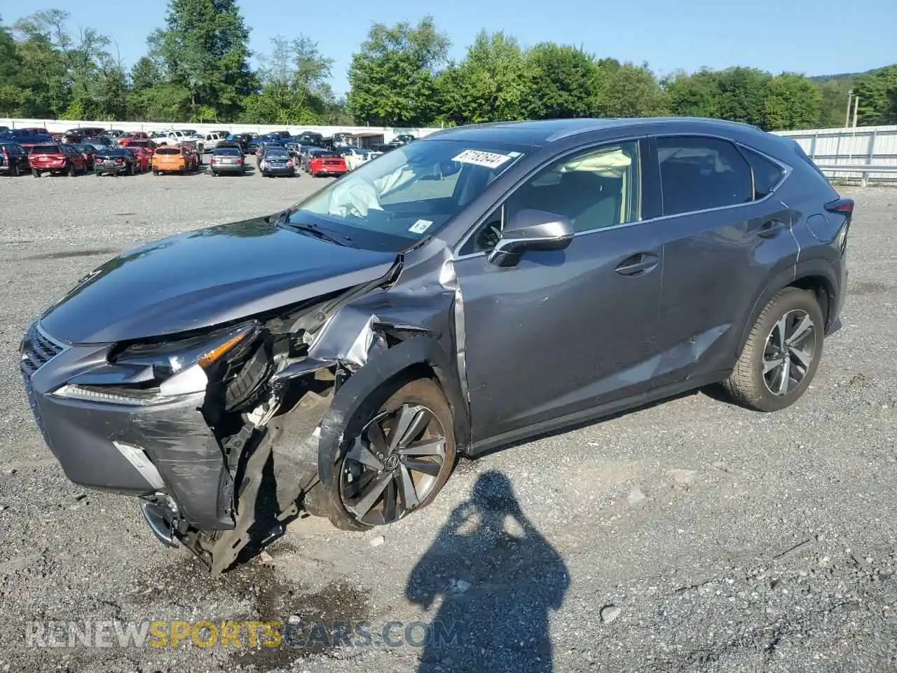 1 fotografías del automóvil dañado JTJGARDZ6L2236067 LEXUS NX 2020