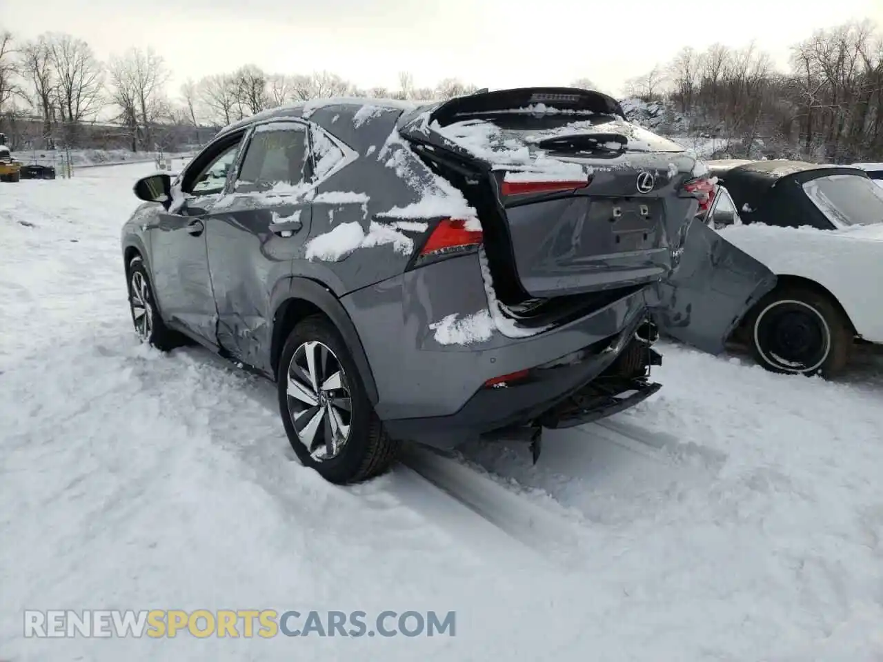 3 Photograph of a damaged car JTJGARDZ7L5010442 LEXUS NX 2020