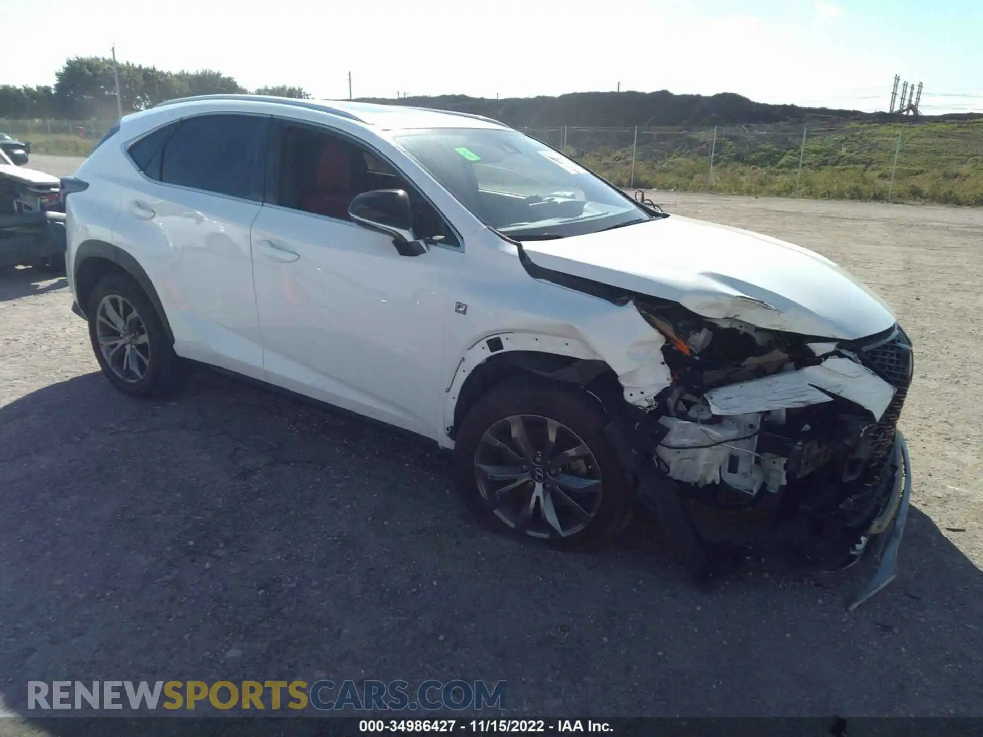 1 fotografías del automóvil dañado JTJSARBZXL5015549 LEXUS NX 2020