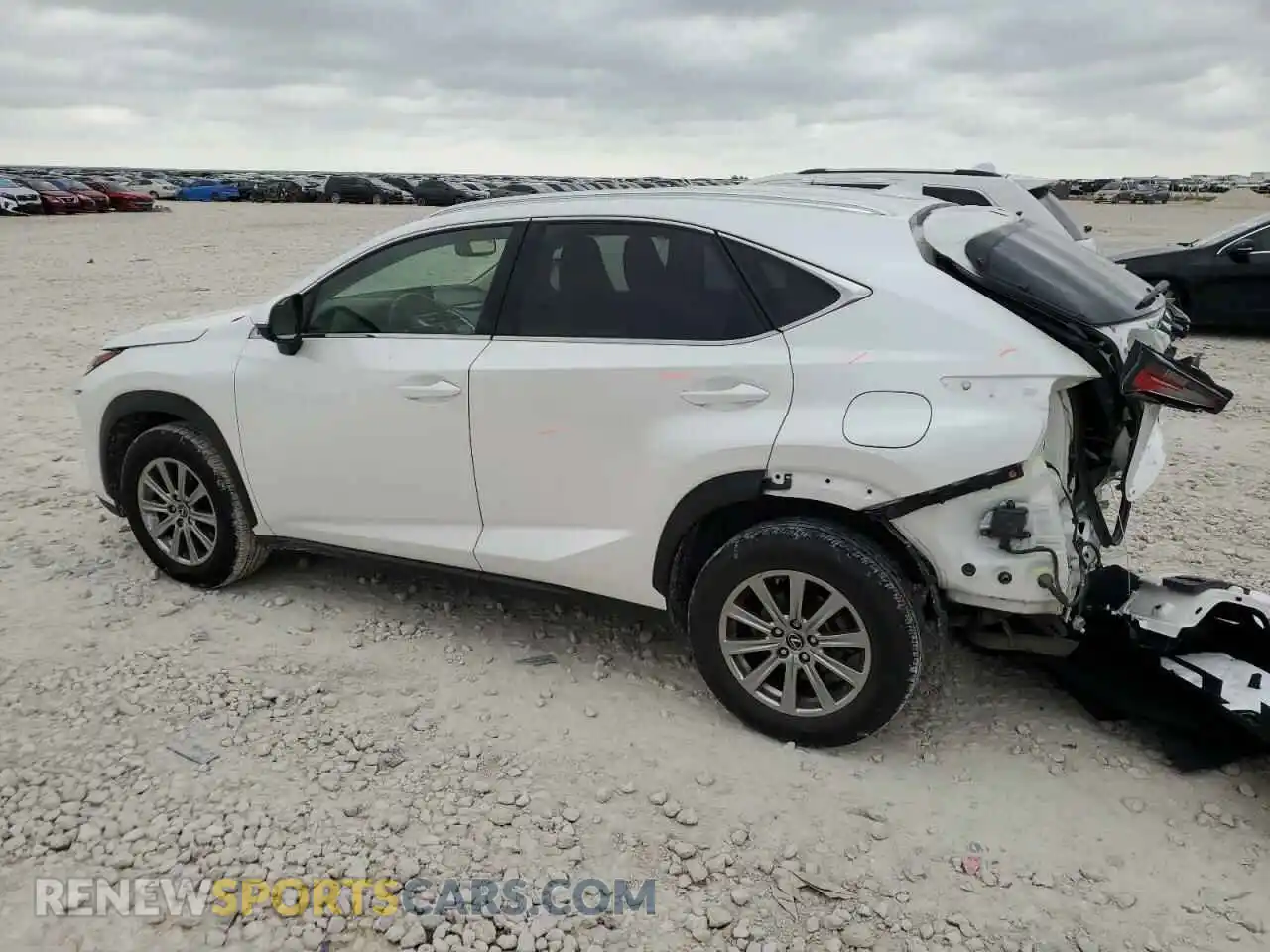2 Фотография поврежденного автомобиля JTJDARBZ9M5033597 LEXUS NX 2021