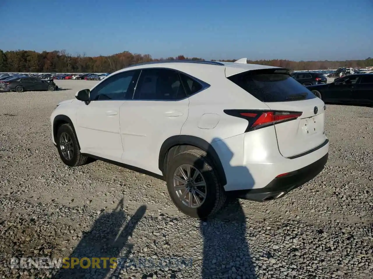2 Photograph of a damaged car JTJDARBZXM5035469 LEXUS NX 2021