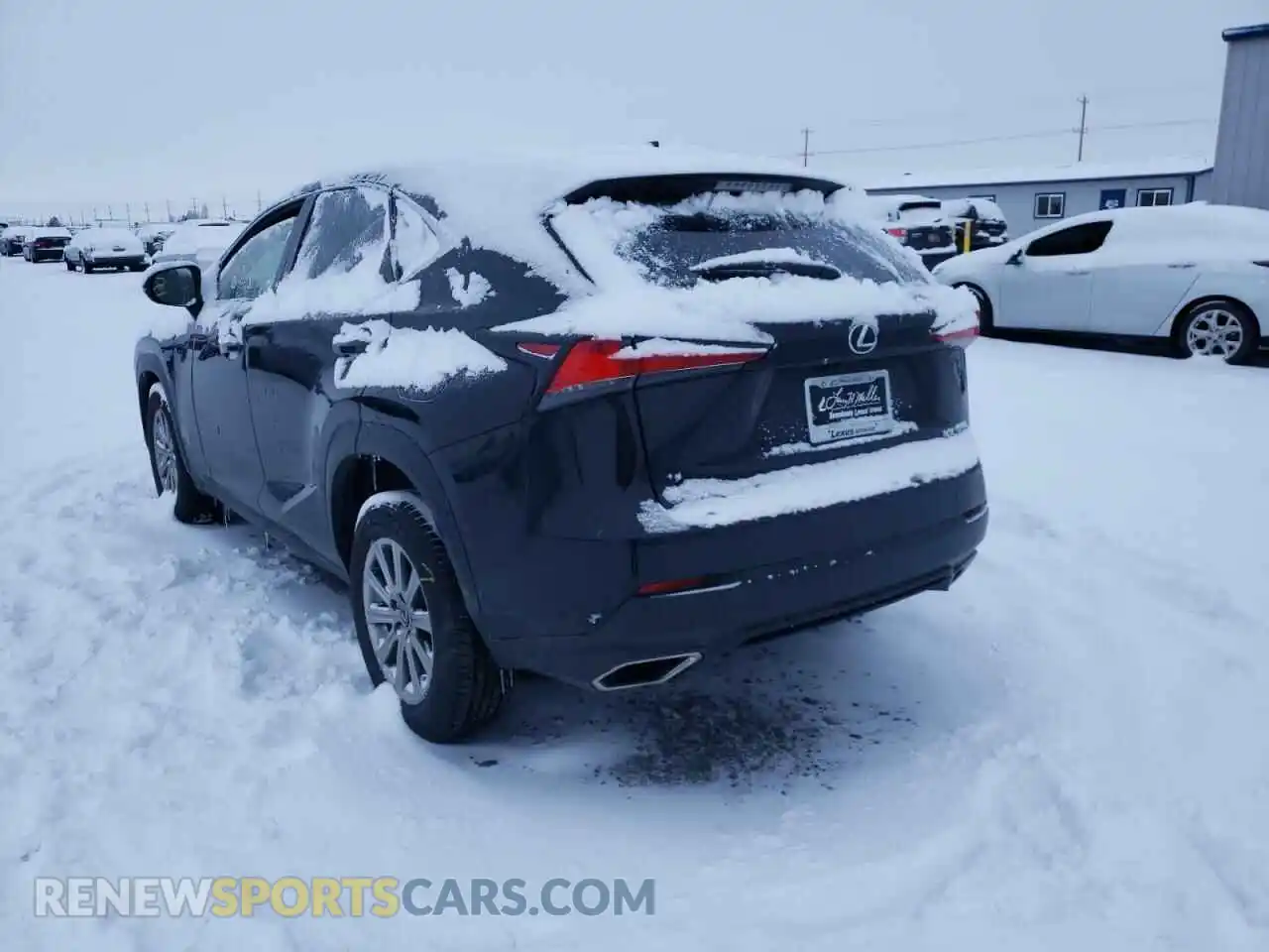 3 Photograph of a damaged car JTJDARDZXM5032181 LEXUS NX 2021