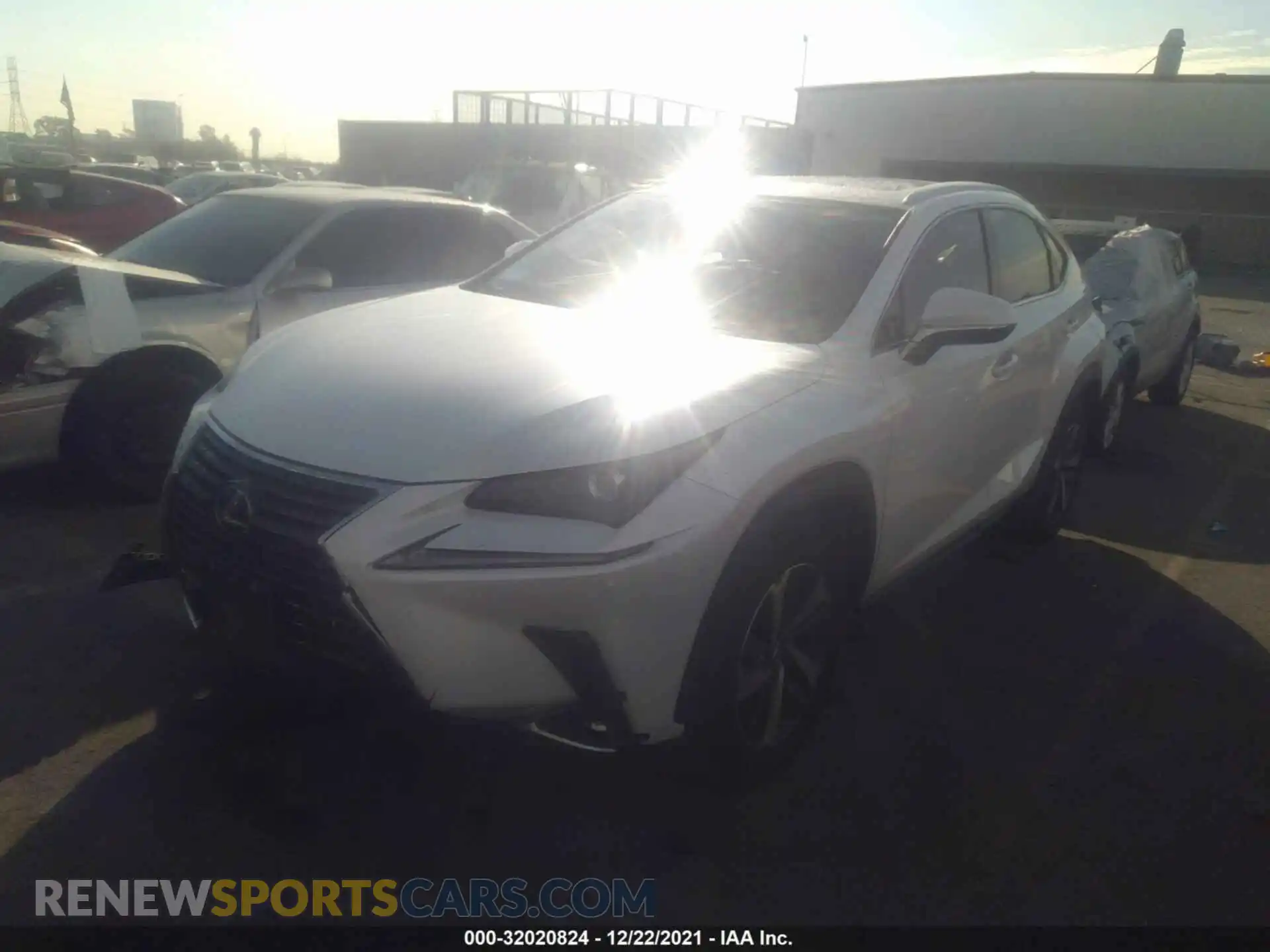 2 Photograph of a damaged car JTJGARBZ5M5035814 LEXUS NX 2021