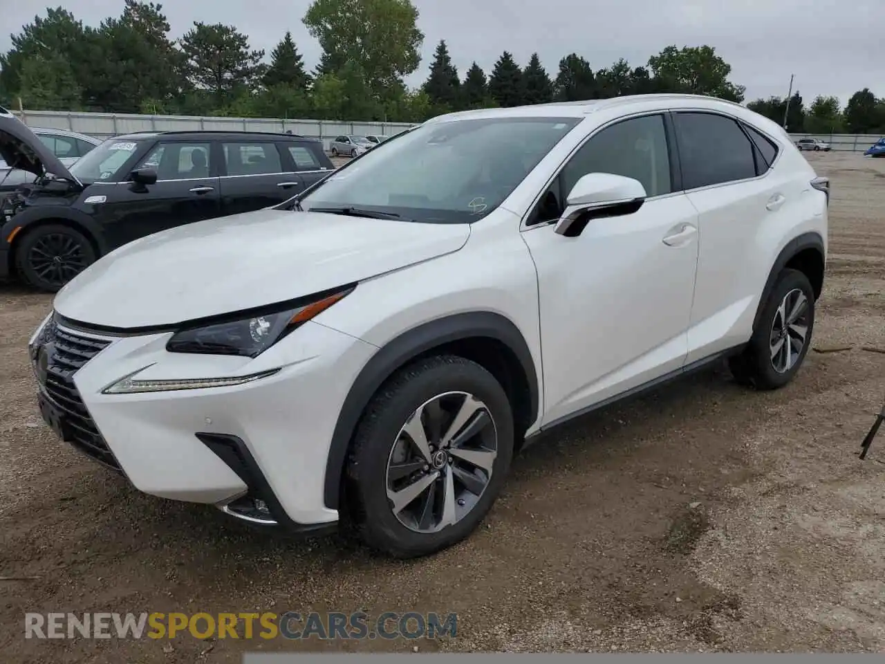 1 fotografías del automóvil dañado JTJGARDZ7M5024343 LEXUS NX 2021