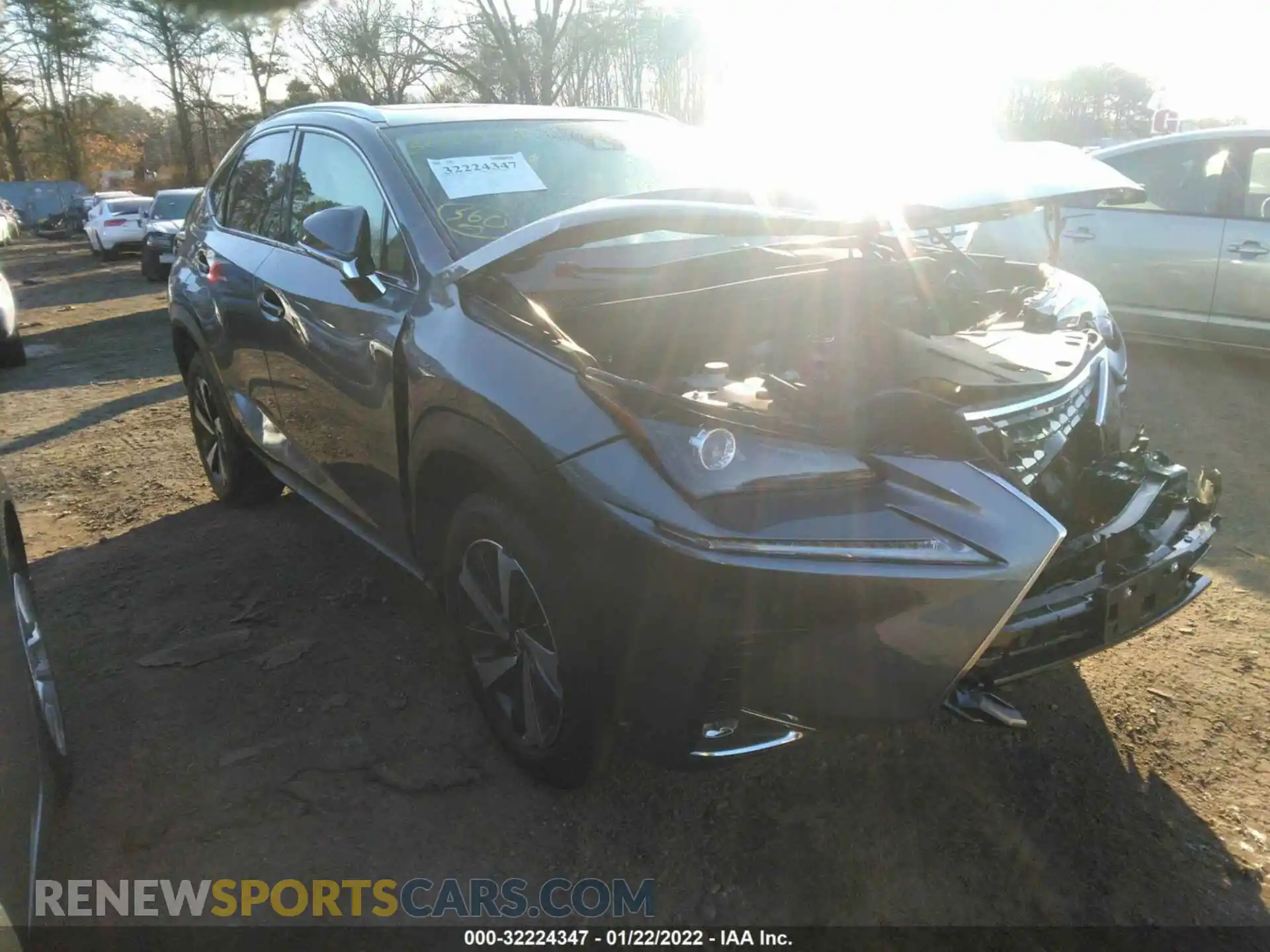 1 Photograph of a damaged car JTJGARDZ8M2255902 LEXUS NX 2021