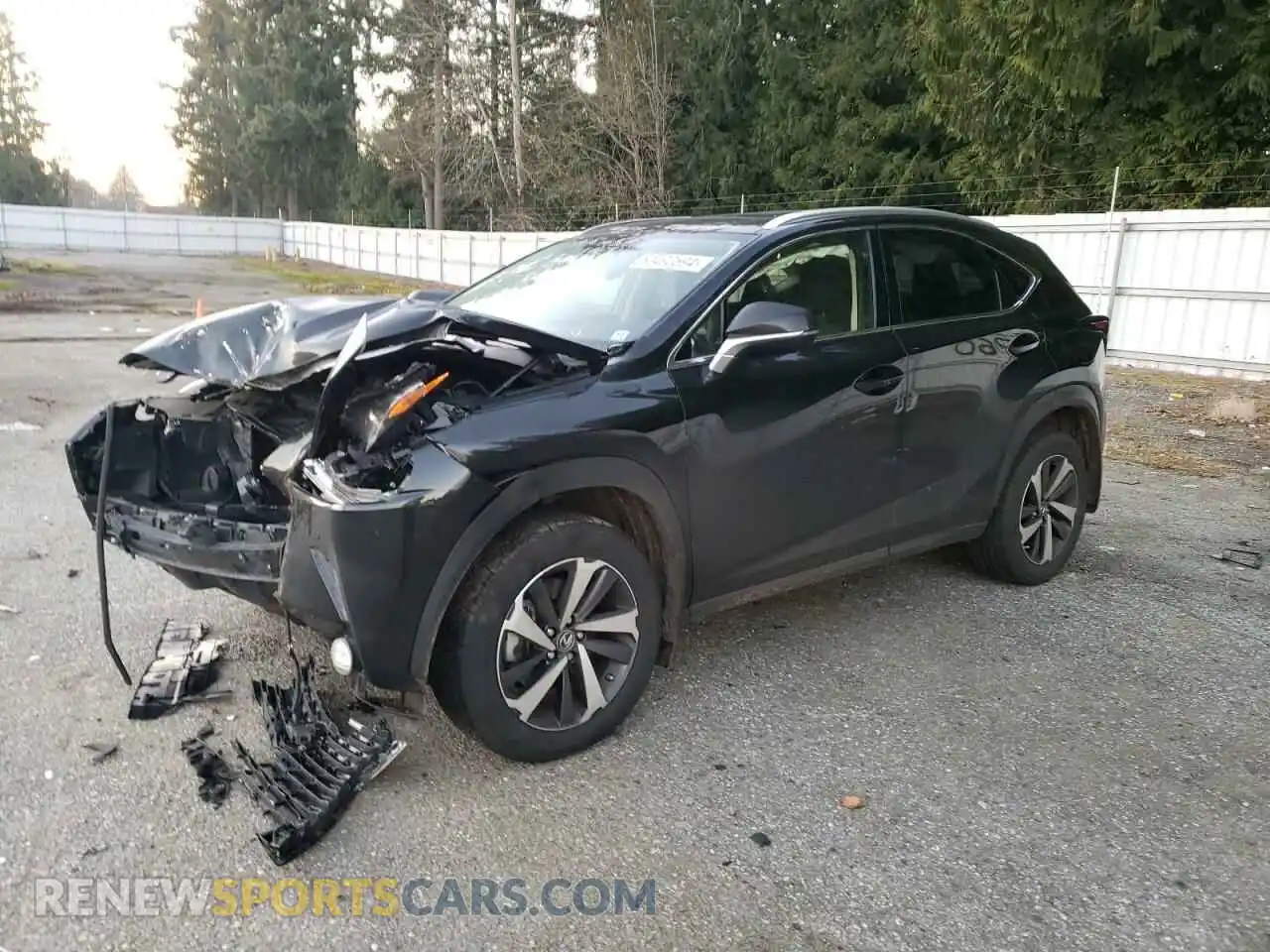 1 Photograph of a damaged car JTJGARDZXM5029648 LEXUS NX 2021