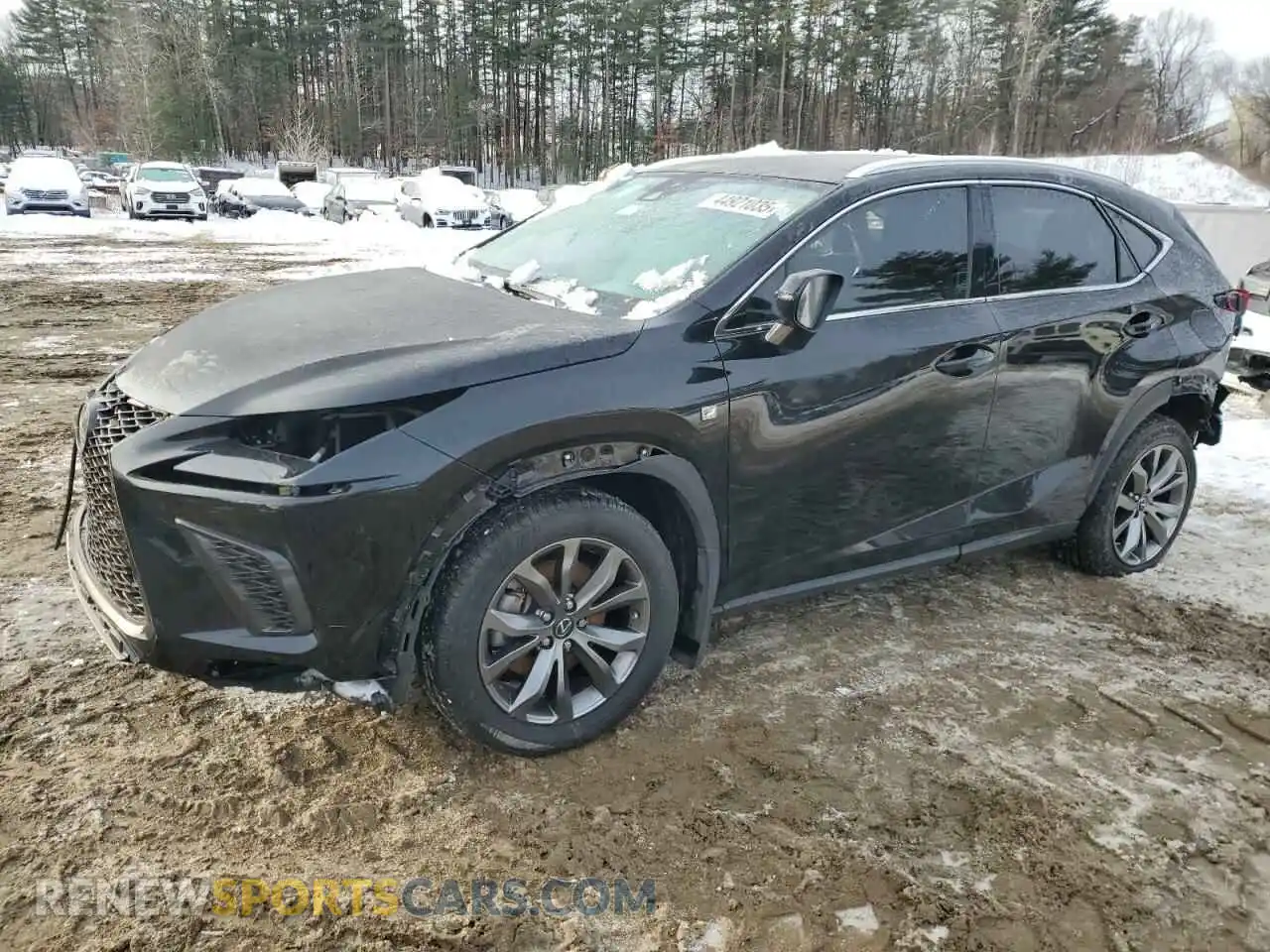 1 Photograph of a damaged car JTJSARBZ2M2203016 LEXUS NX 2021