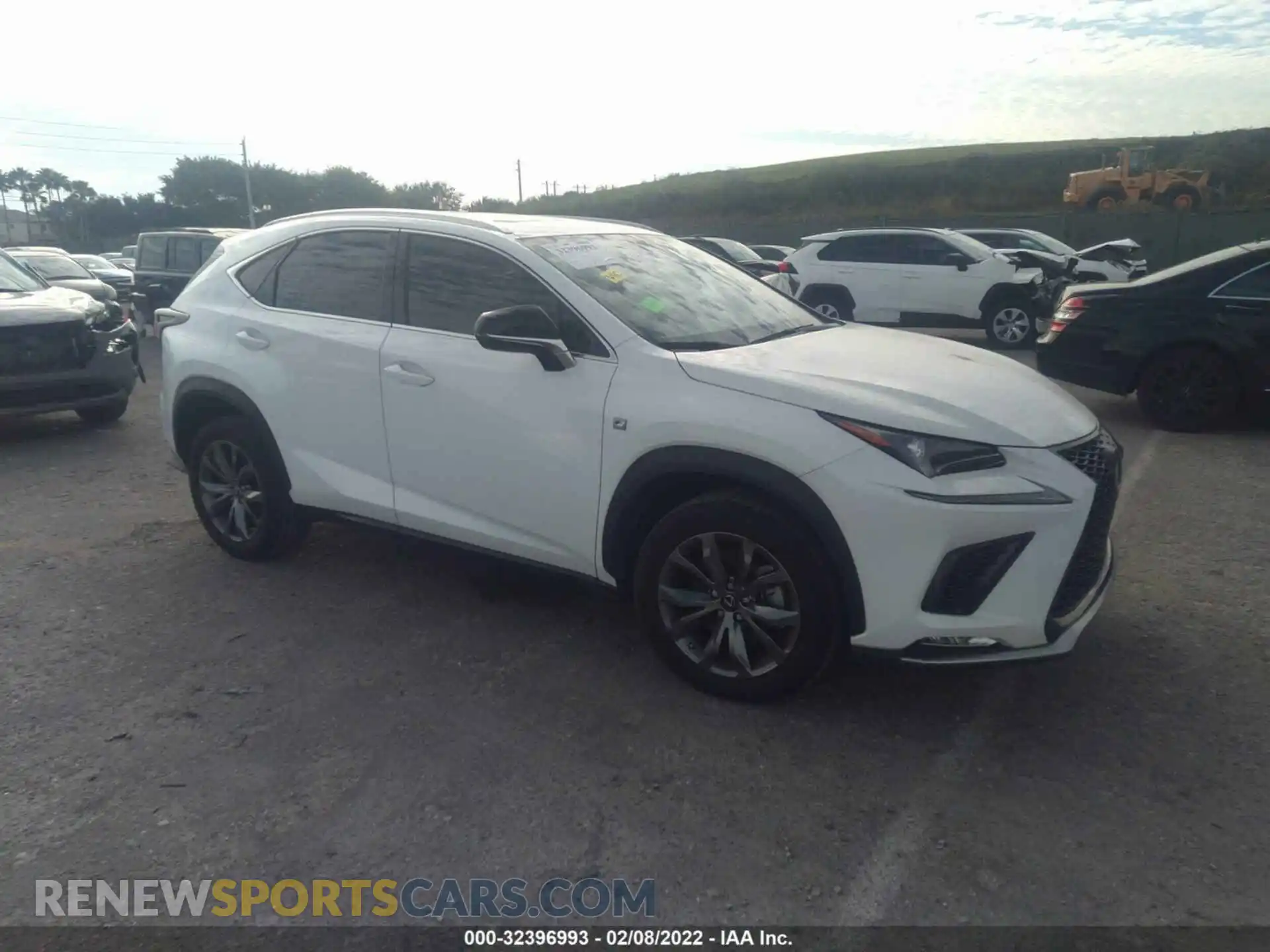 1 Photograph of a damaged car JTJSARBZ8M5022971 LEXUS NX 2021