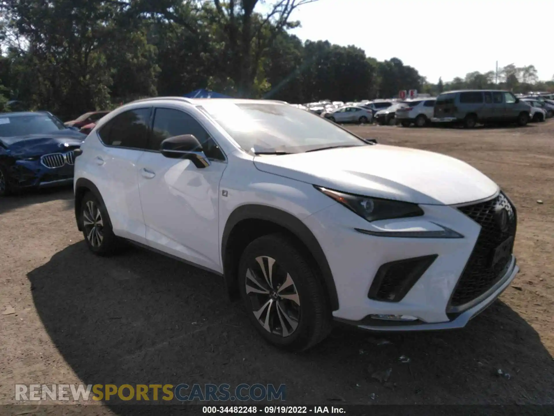 1 Photograph of a damaged car JTJSARDZ3M2262184 LEXUS NX 2021
