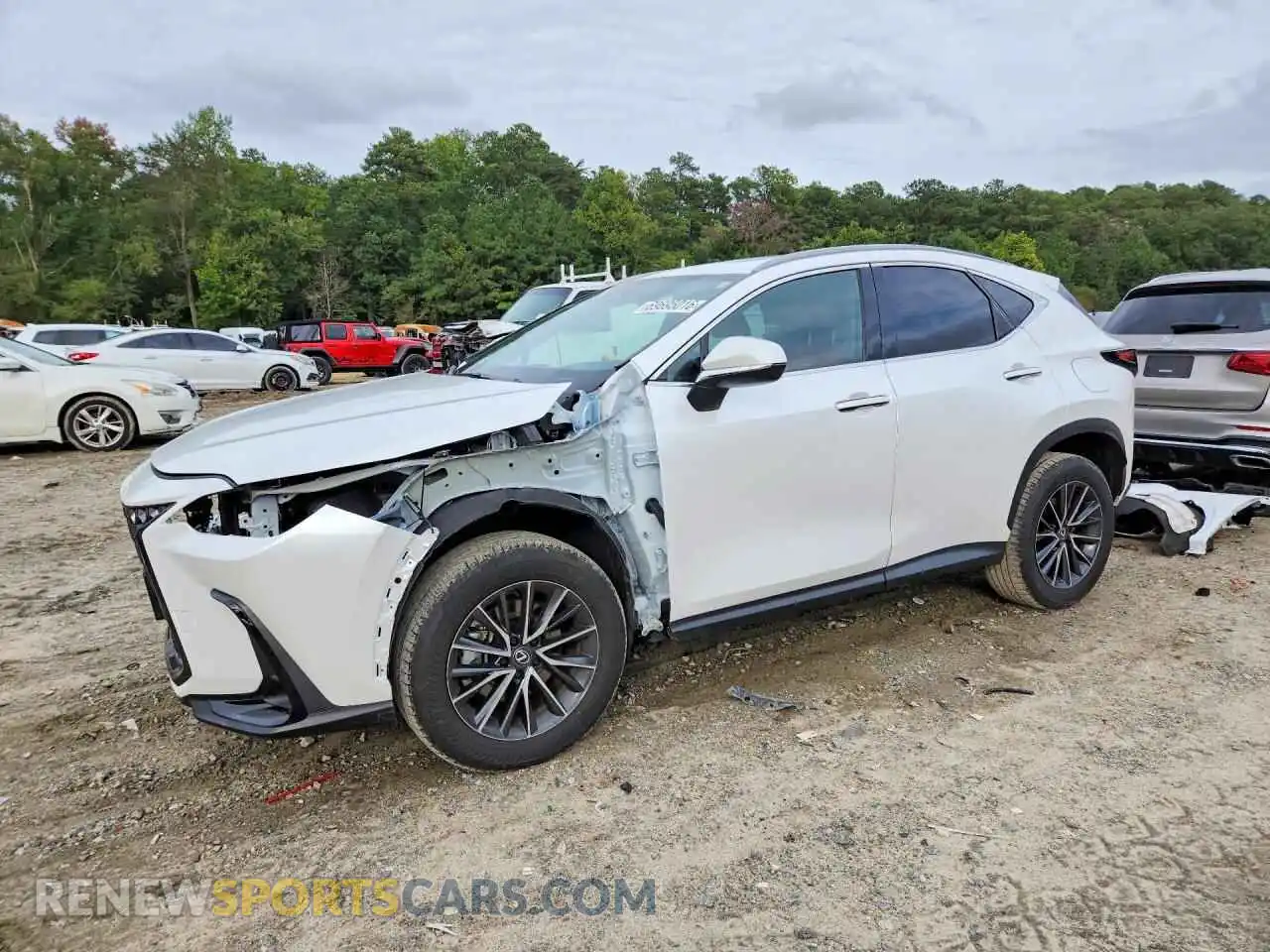 1 Photograph of a damaged car 2T2AKCEZ1RC017038 LEXUS NX 2024