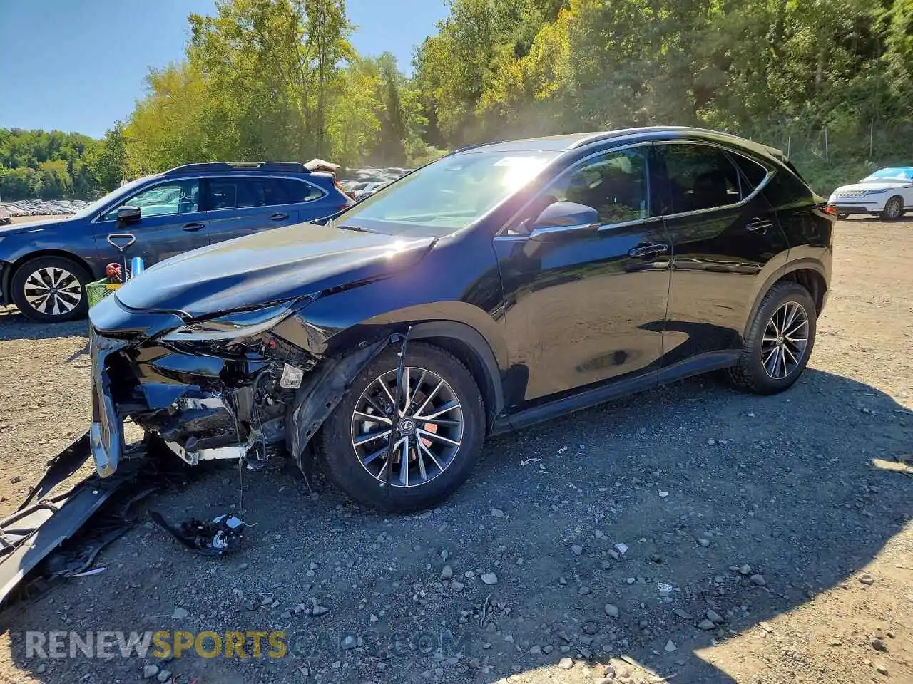 1 Фотография поврежденного автомобиля 2T2GGCEZ2RC041781 LEXUS NX 2024