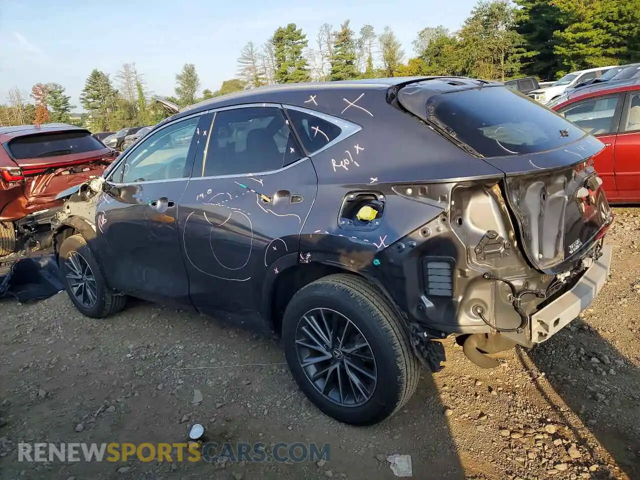 2 Photograph of a damaged car 2T2GGCEZ5RC045453 LEXUS NX 2024